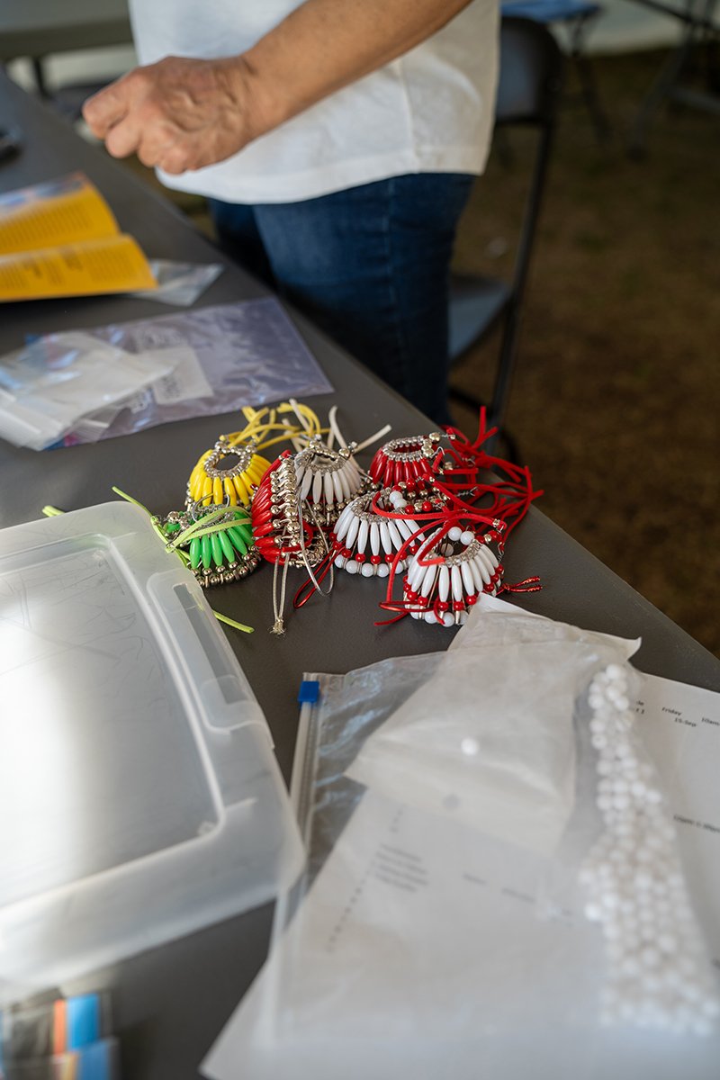 web-RC-D2-DSC05198.jpg