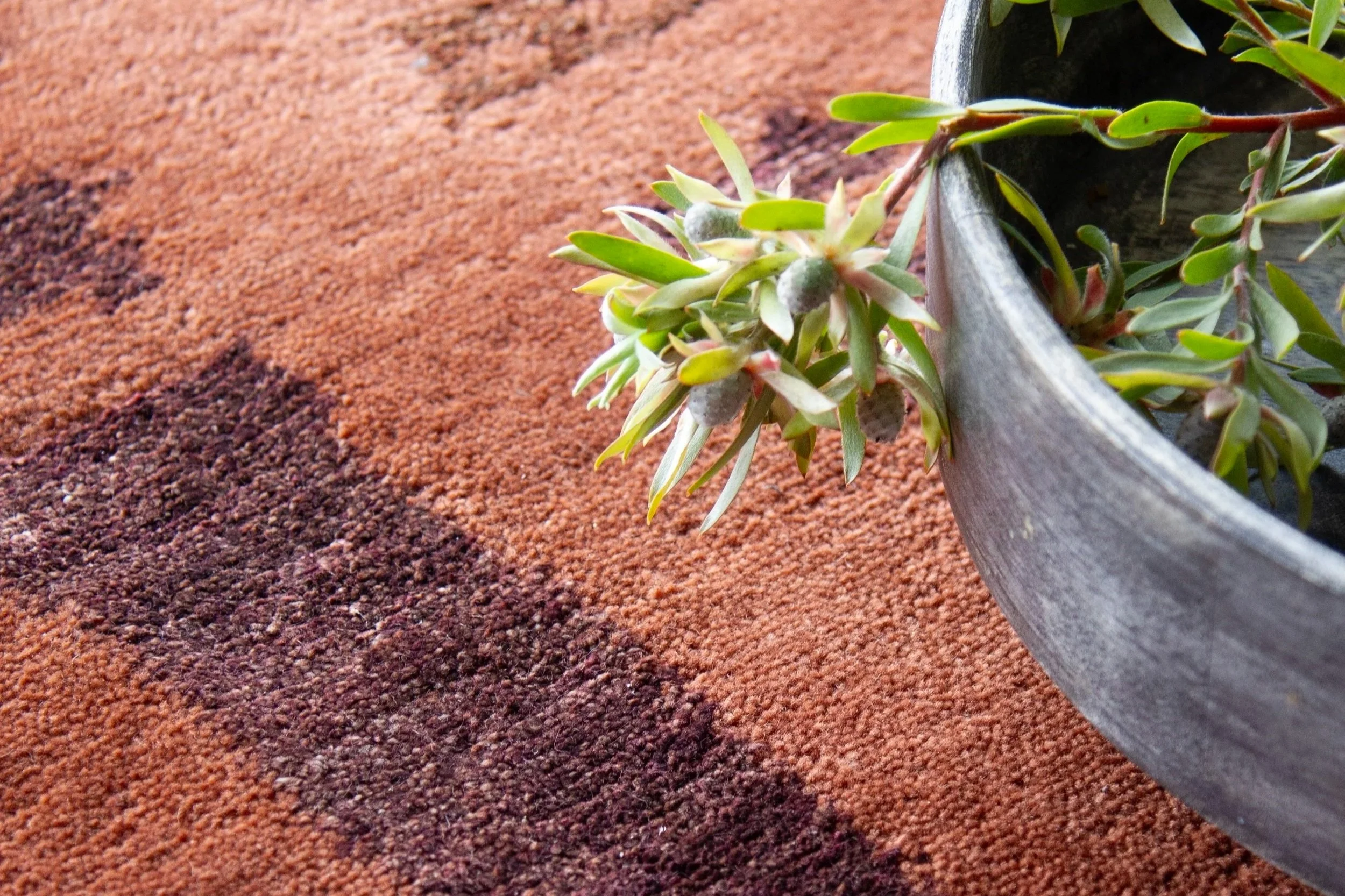 Totzke_rugs.HDT.Calla.S9.cropped2.jpg