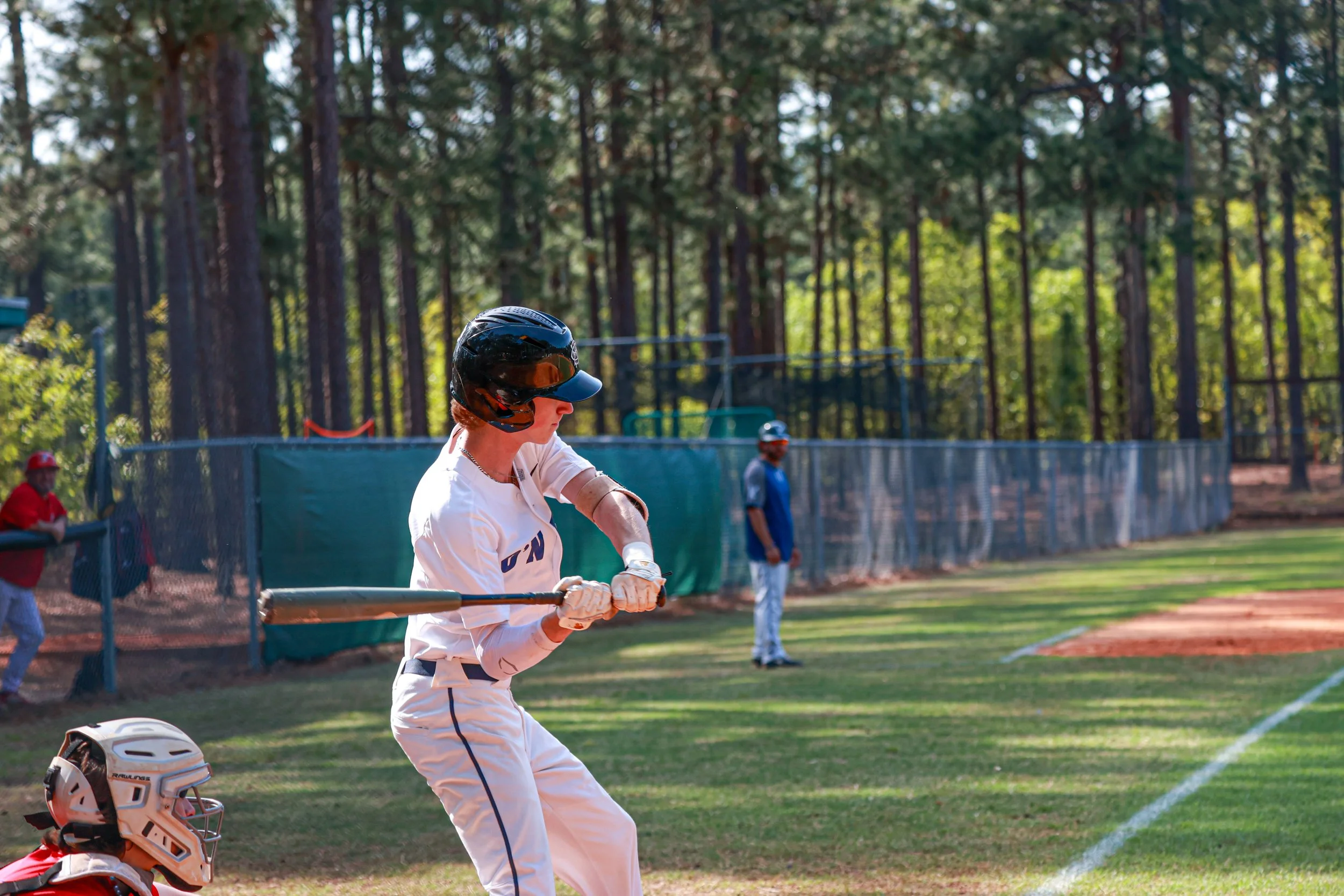 From the Falcons Nest