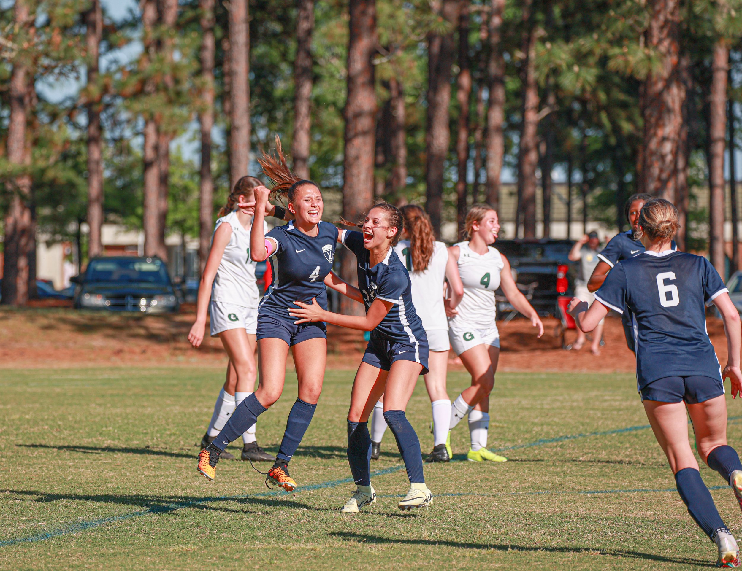 Falcons Nest - Falcons enter tournament play