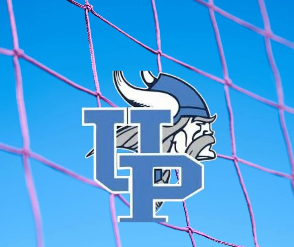 Vikings defeat Southern Lee