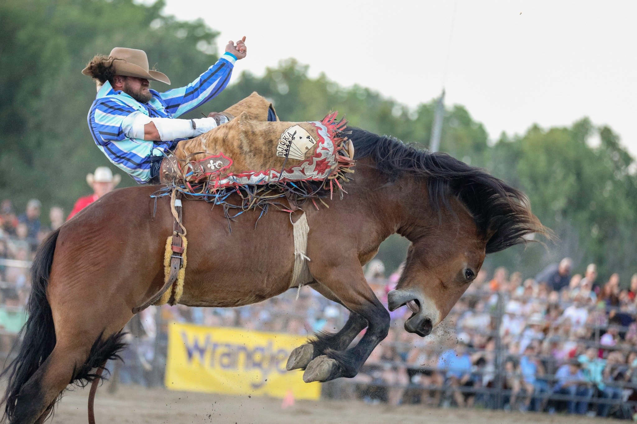 Rodeo Returns for Third Year