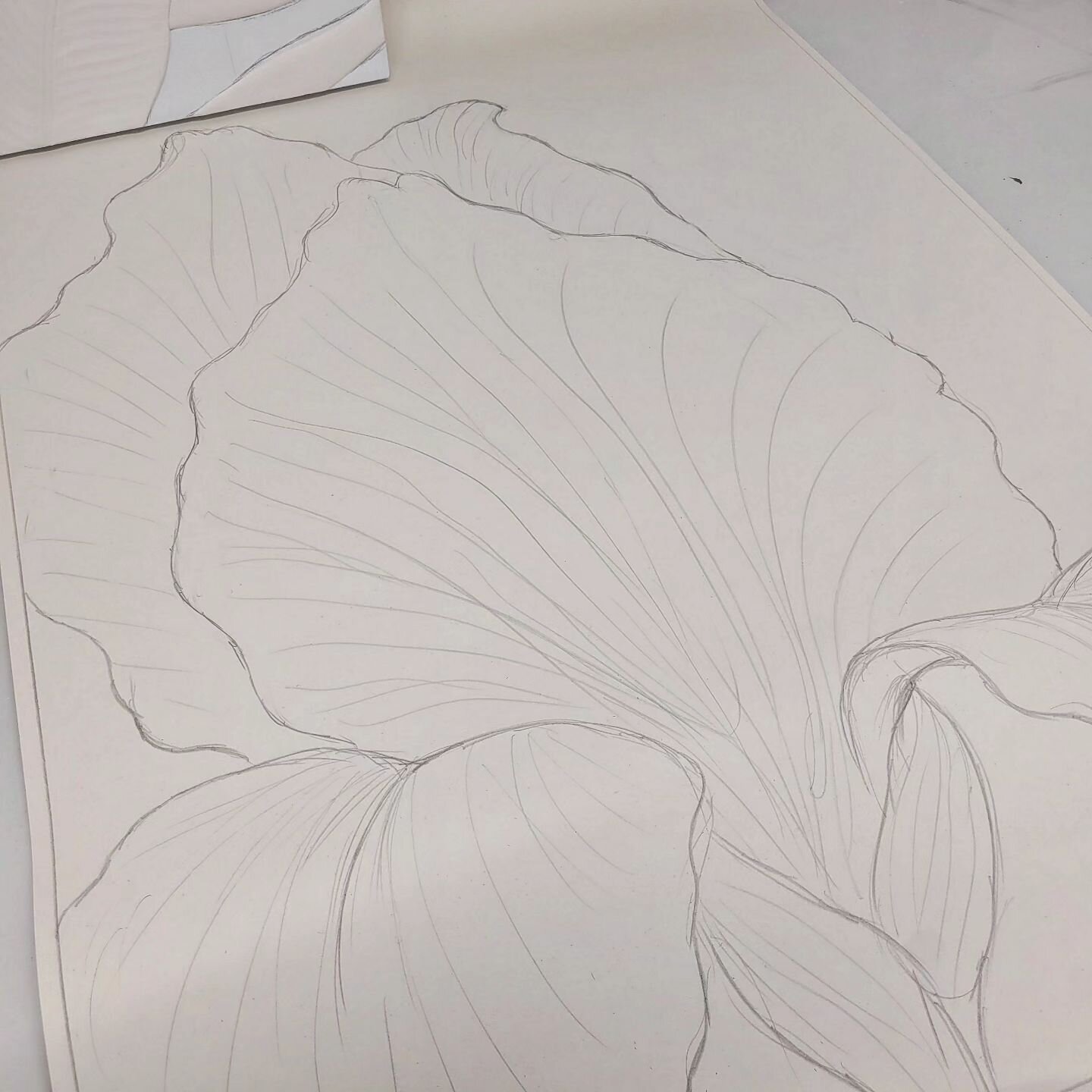 Happy New Year! Starting the year sharing this design sketch for a large Iris sculptural piece that I'm now back to working on. It's grown from just an idea in my mind to a nearly completed piece of art... here's hoping that 2024 will bring more grow