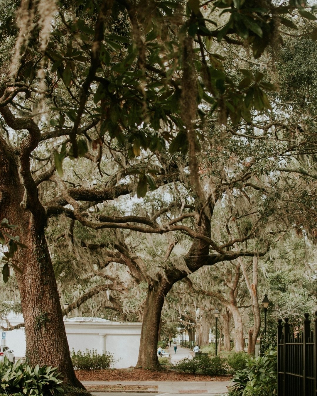 Kreps PR is planting new roots! Can you guess where our firm has expanded? Here's a hint: Move over Instagram. Renowned for its famous grid layout, this charming southern town nicknamed "The Square City" is centered around 22 historic squar