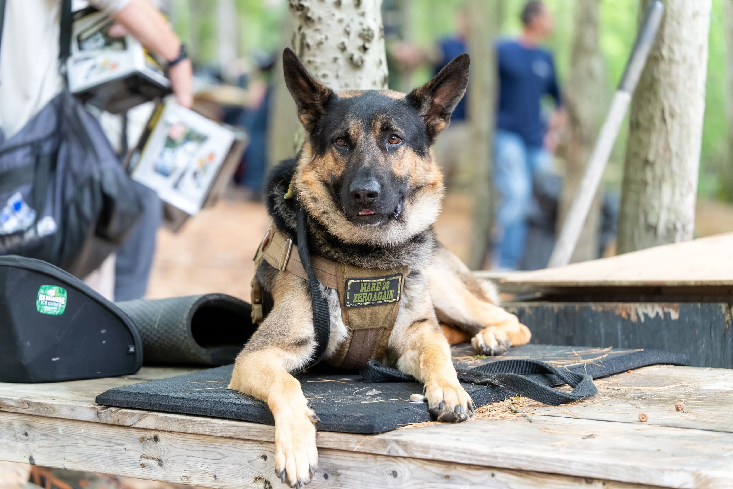 Paintball_15.jpg