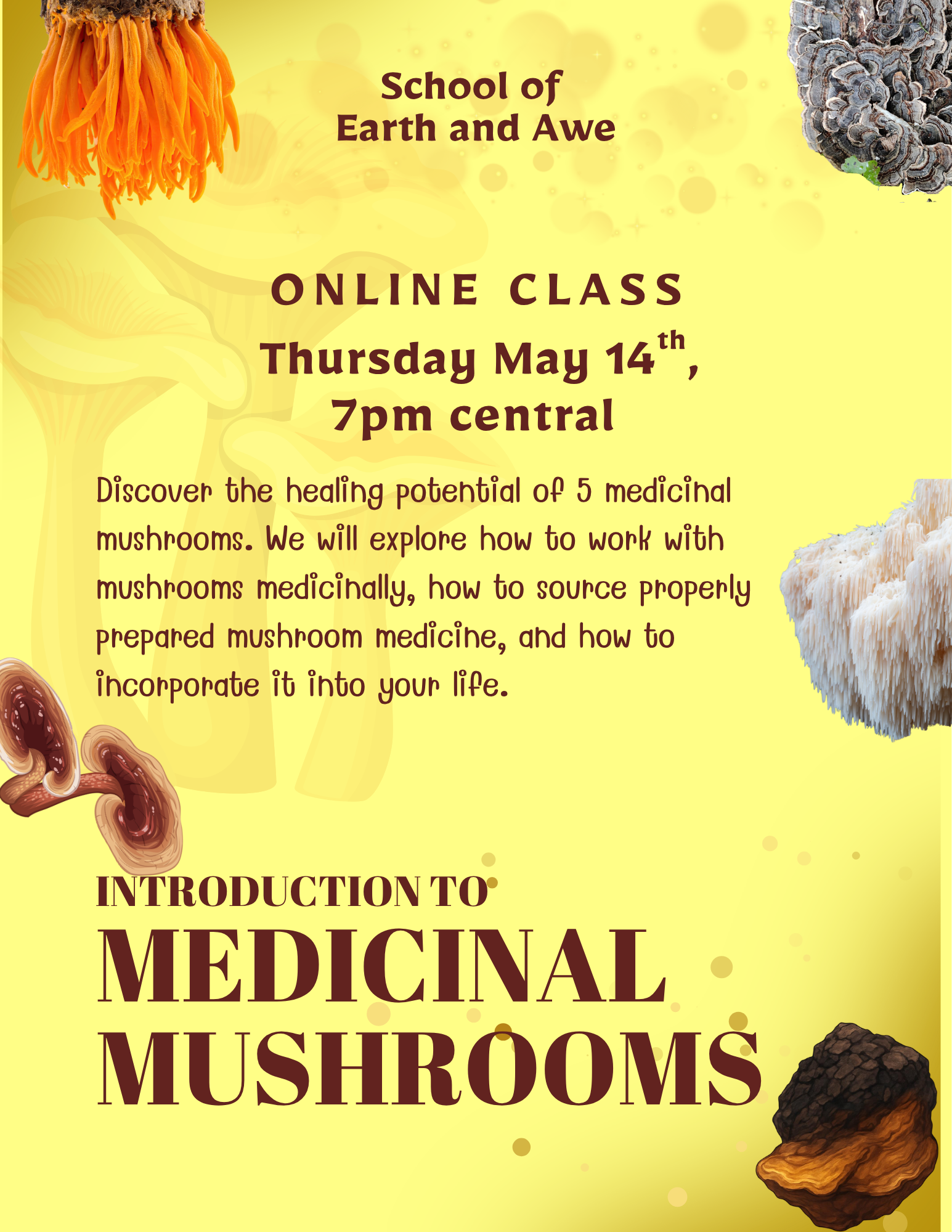 Online Class Intro to Medicinal Mushrooms.png