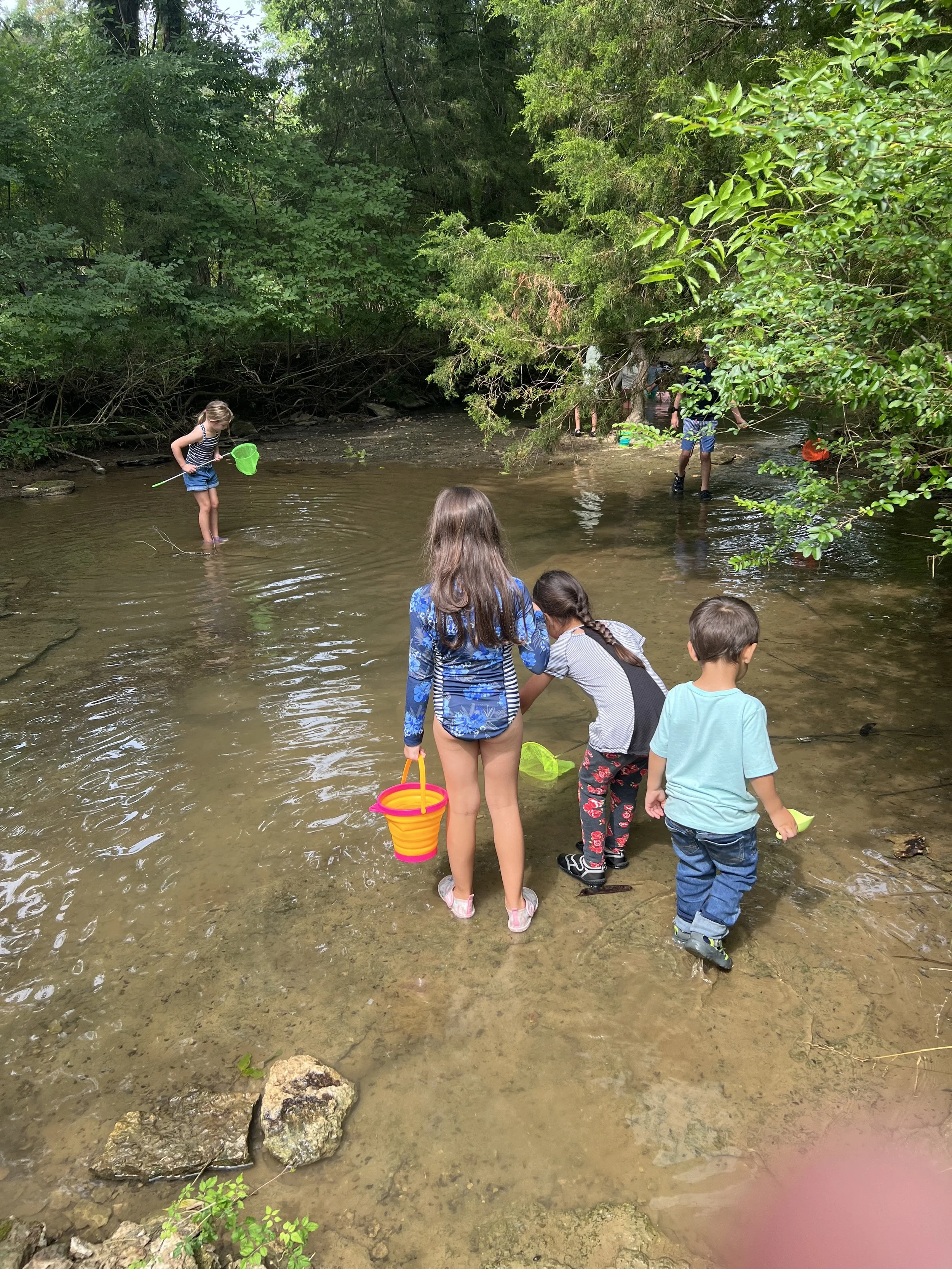 IMG_0767.jpeg (Copy)