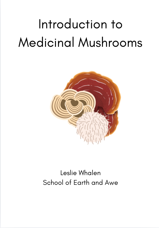 Introduction to Medicinal Mushrooms Ebook