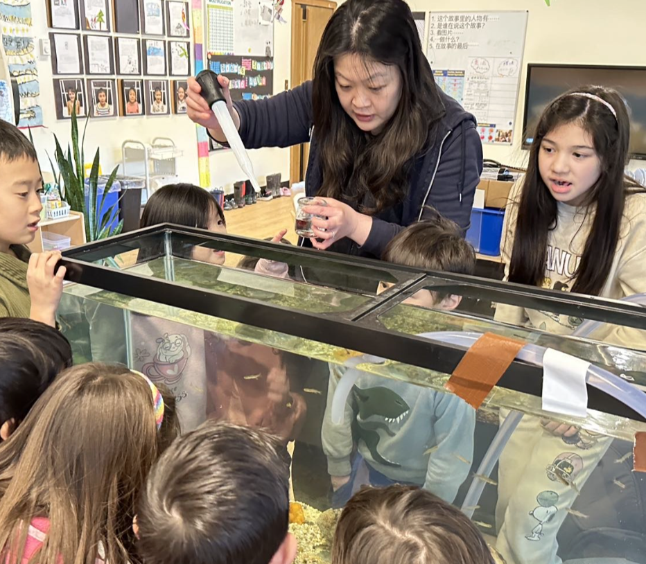 Screenshot 2024-04-13 at 1.04.07 PM.png