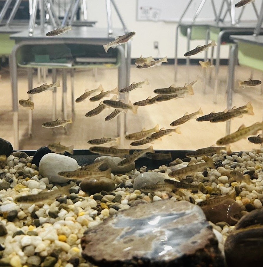 33a480a0de4c85b23b0dbde2dbc89fc4 2.jpg