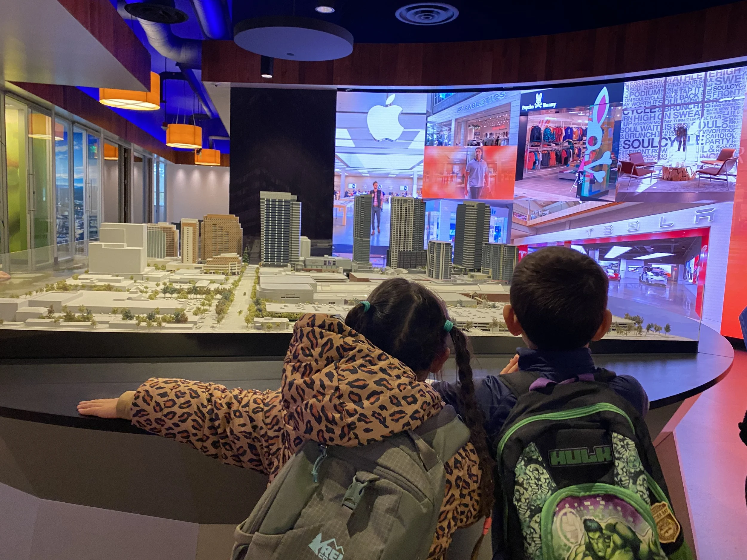 Unit of Study overview the city.JPG