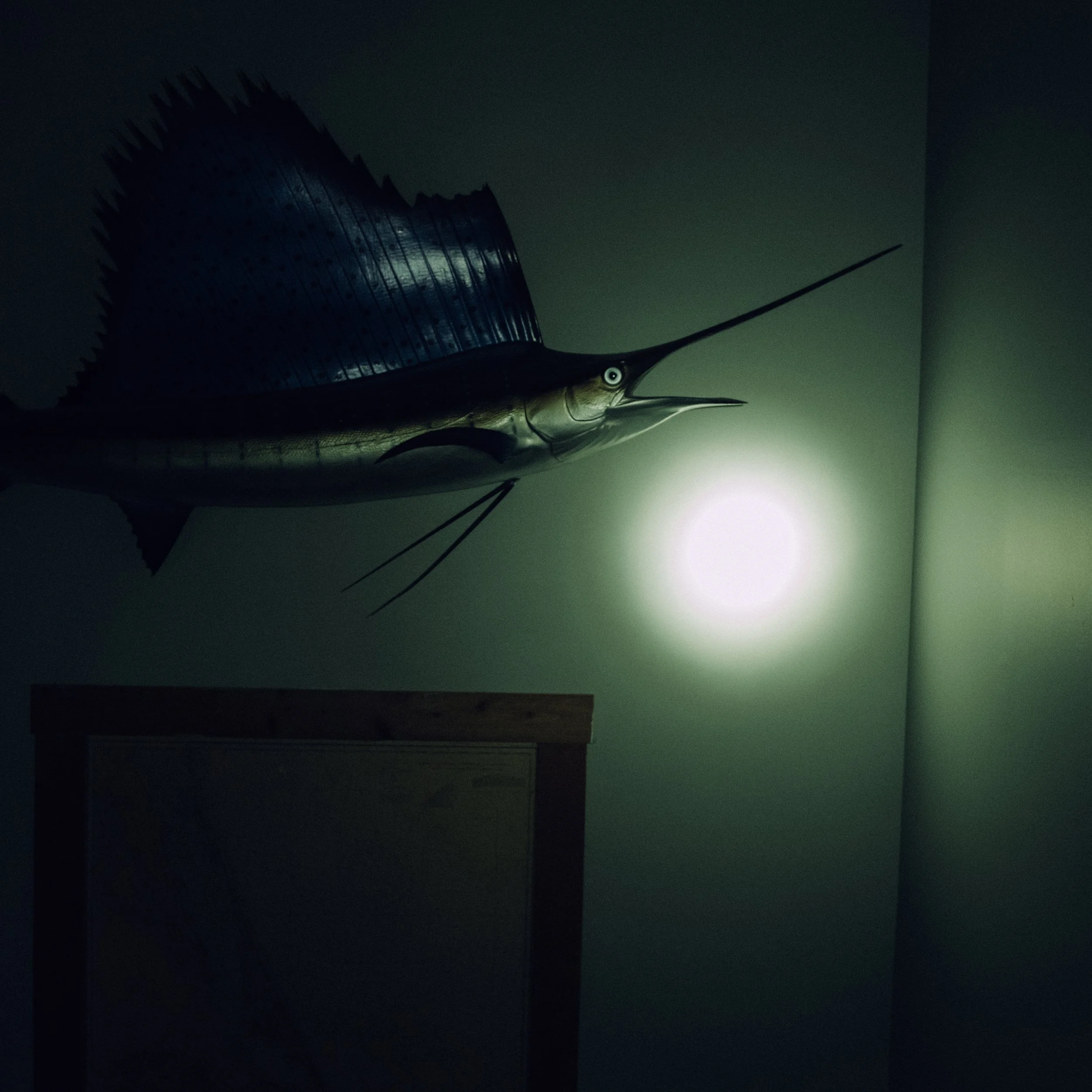 _1418116.jpg