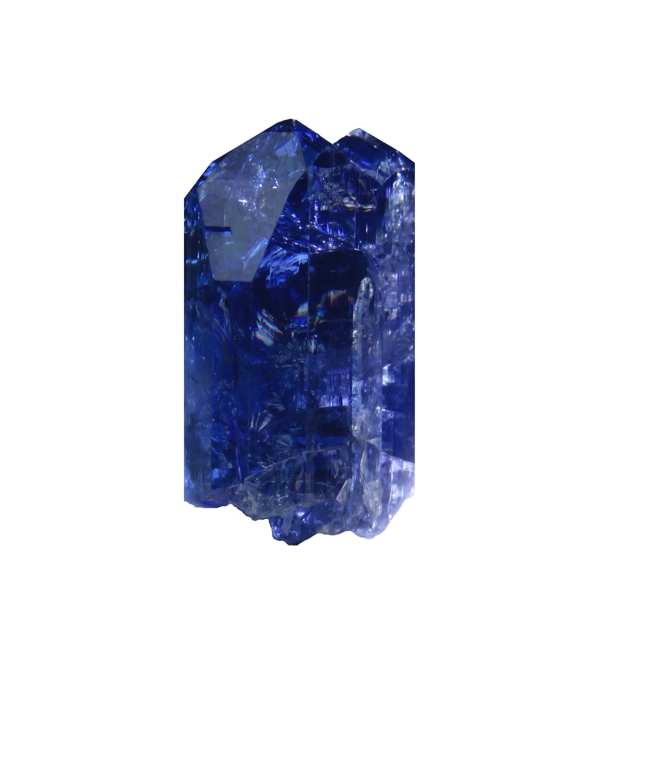 IMG_2681 (2023_08_09 10_10_02 UTC).JPG