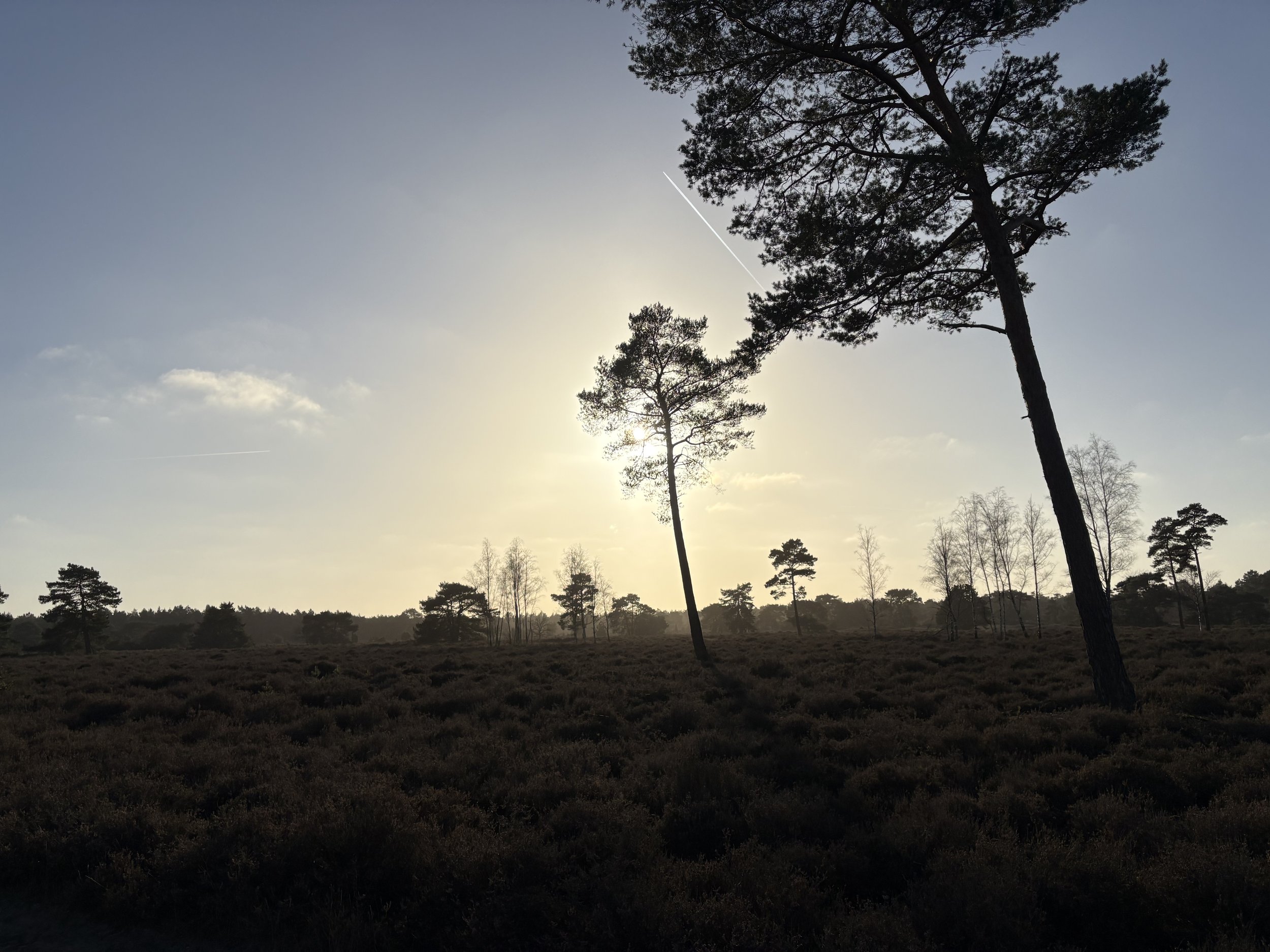 Hoogsentiviteit en jouw levensthema’s  