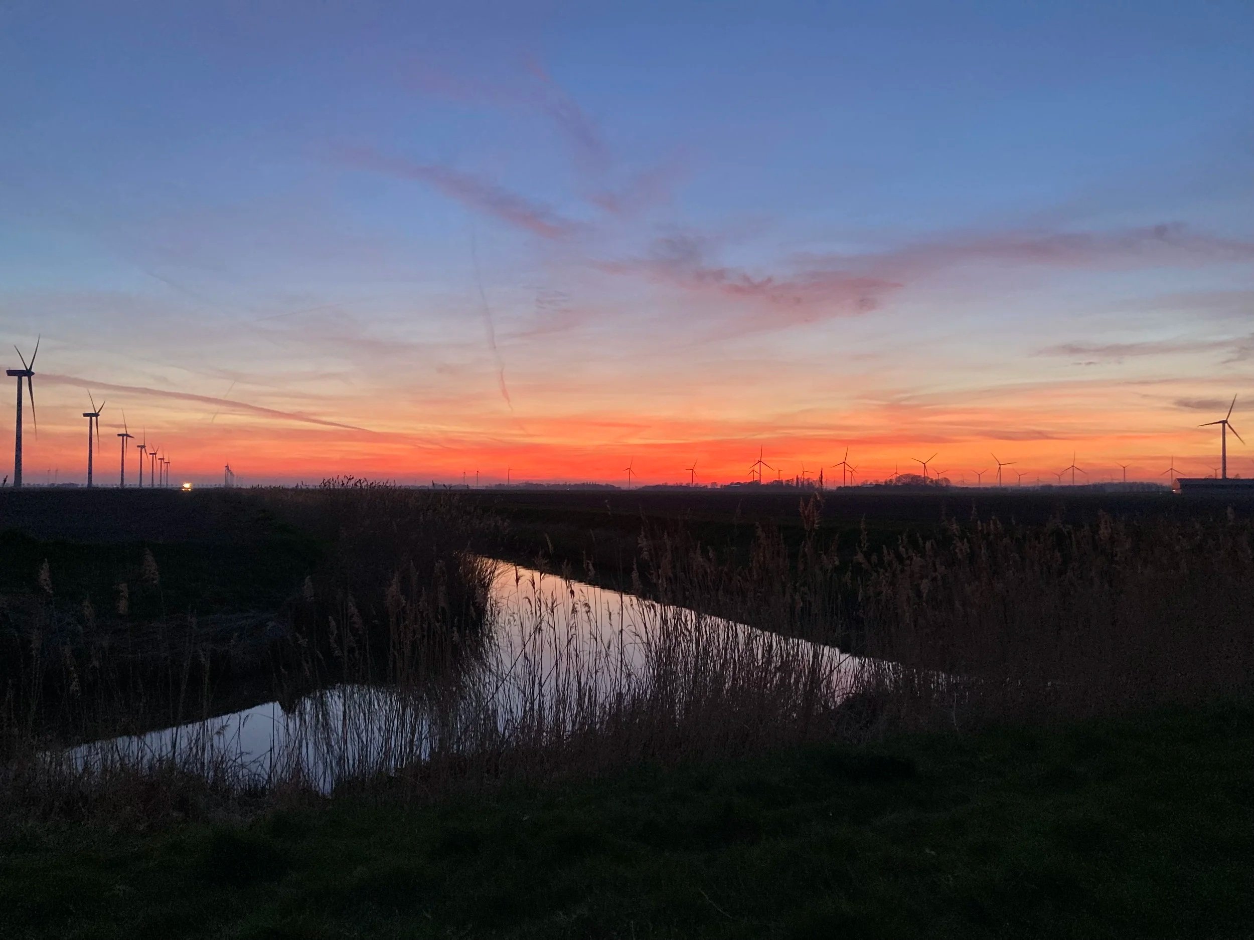 De invloed van de maan op hoogsensitieve kinderen