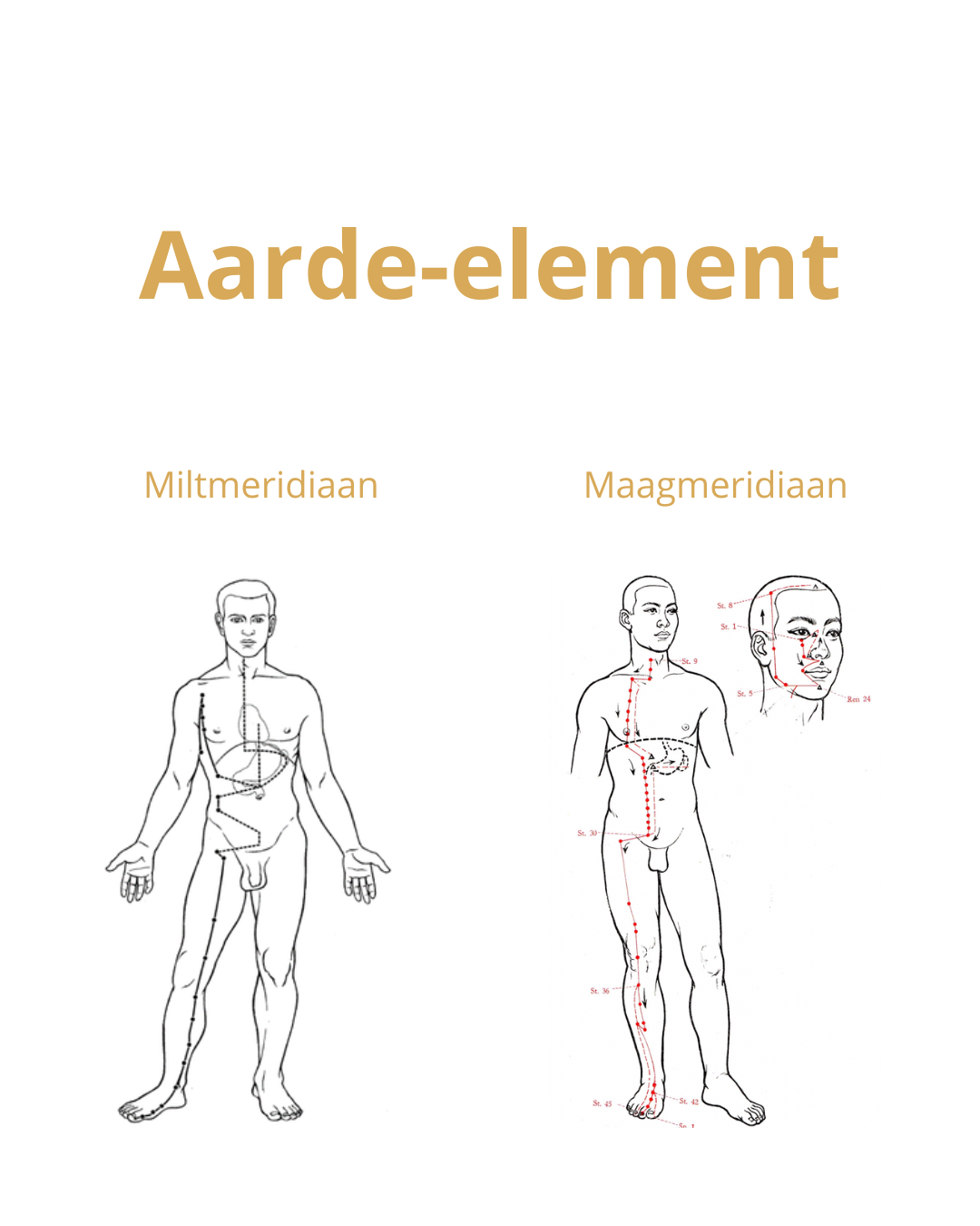 Aarde-element vaak uit evenwicht bij hsp