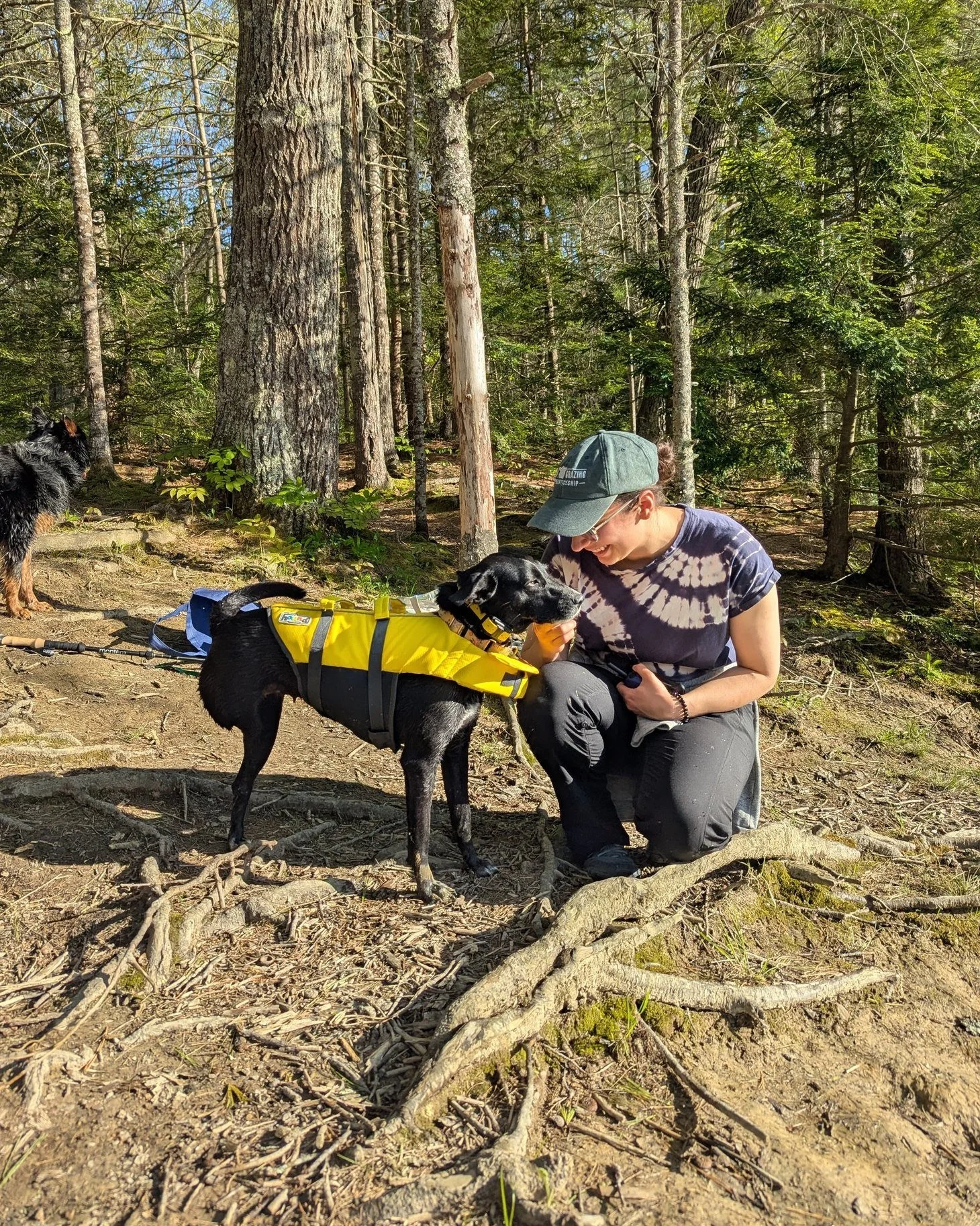 We had a wonderful beach meet-up with @donnafromdelhi  and her owners earlier this summer! They wrapped up their training program a few months back and Donna is now seamlessly integrated into their pack of three. She also joins her owners on trips ar