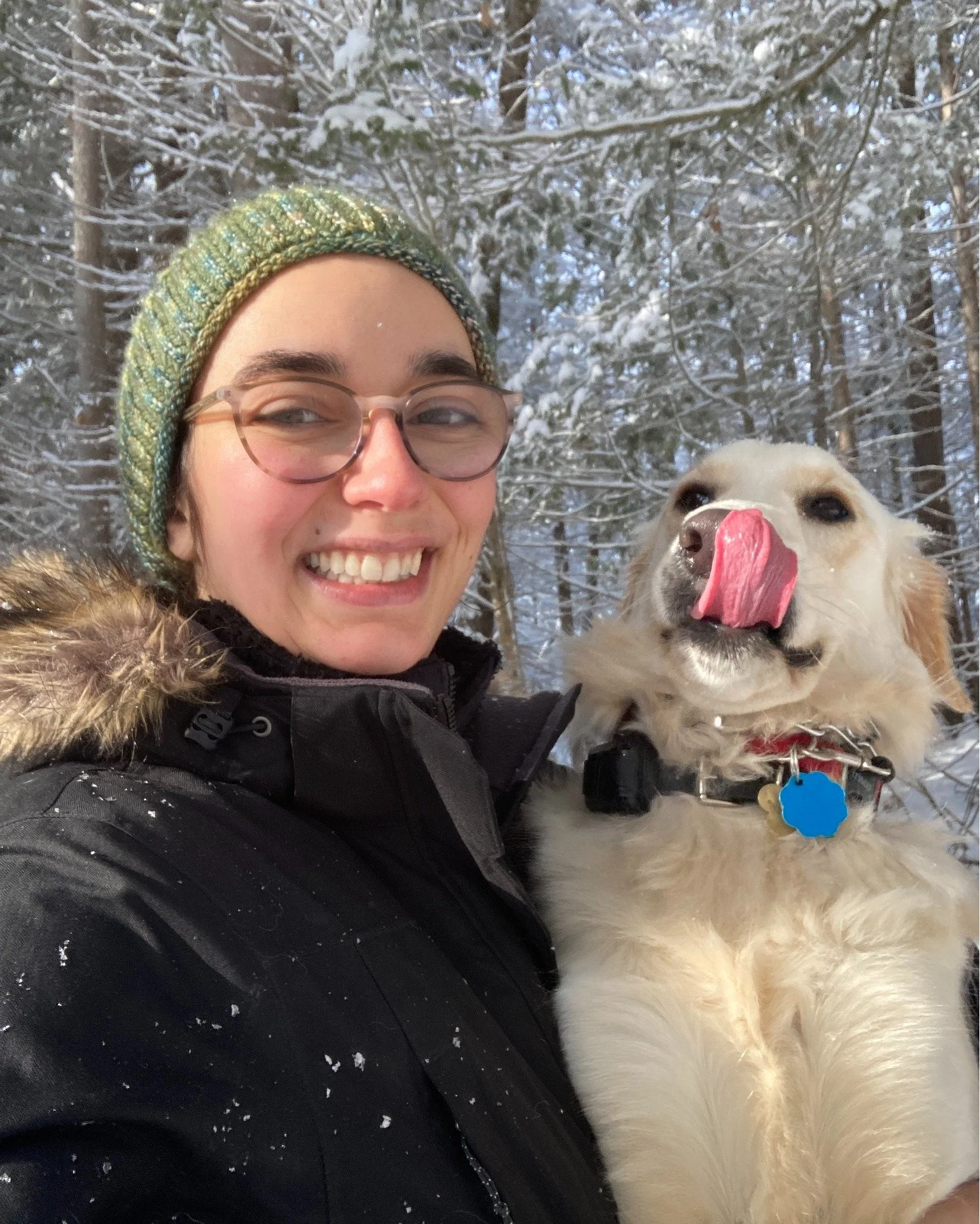 Maizey the Golden Retriever is learning so much! She has had a habit in the past of taking off after wildlife, even swimming a good distance after waterfowl. We are teaching her off-leash recall so she can be free to enjoy the woods and waters of Mai