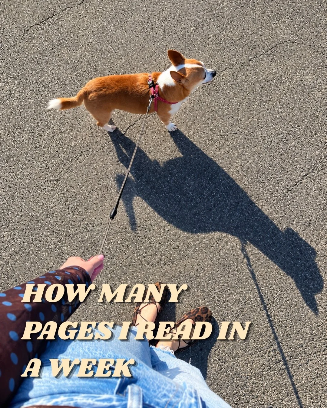 An excellent reading week this week! I&rsquo;m working on a Hunger Games magazine at work so thought it was about time I picked up the books (no idea why I&rsquo;ve never read them) and I am LOVING them! And even better Fred is reading them along wit