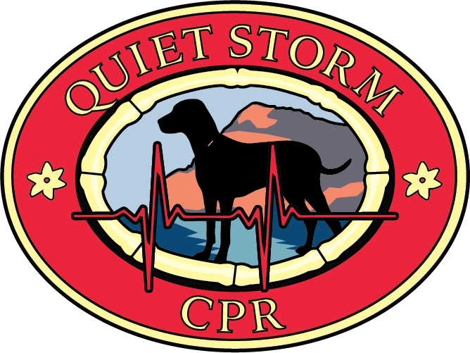 Quiet-Storm-CPR-Final.png