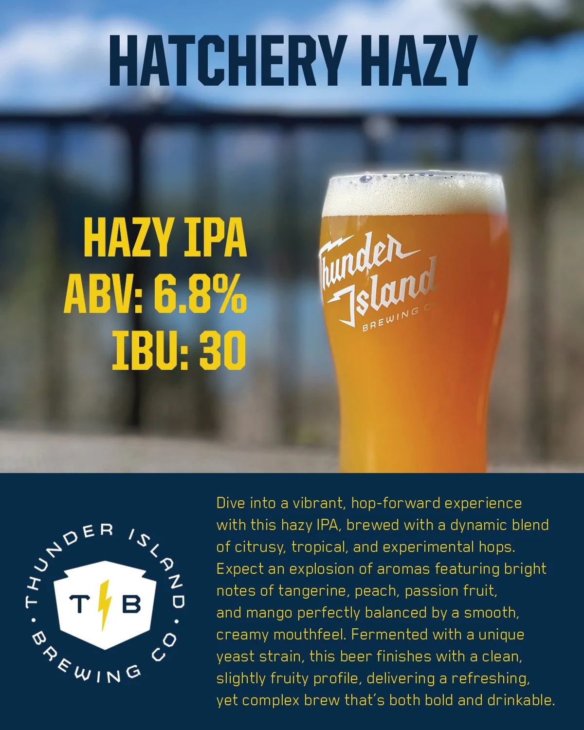 Hatchery-Hazy-Flyer-Mar-2025-4x5-V1.jpg