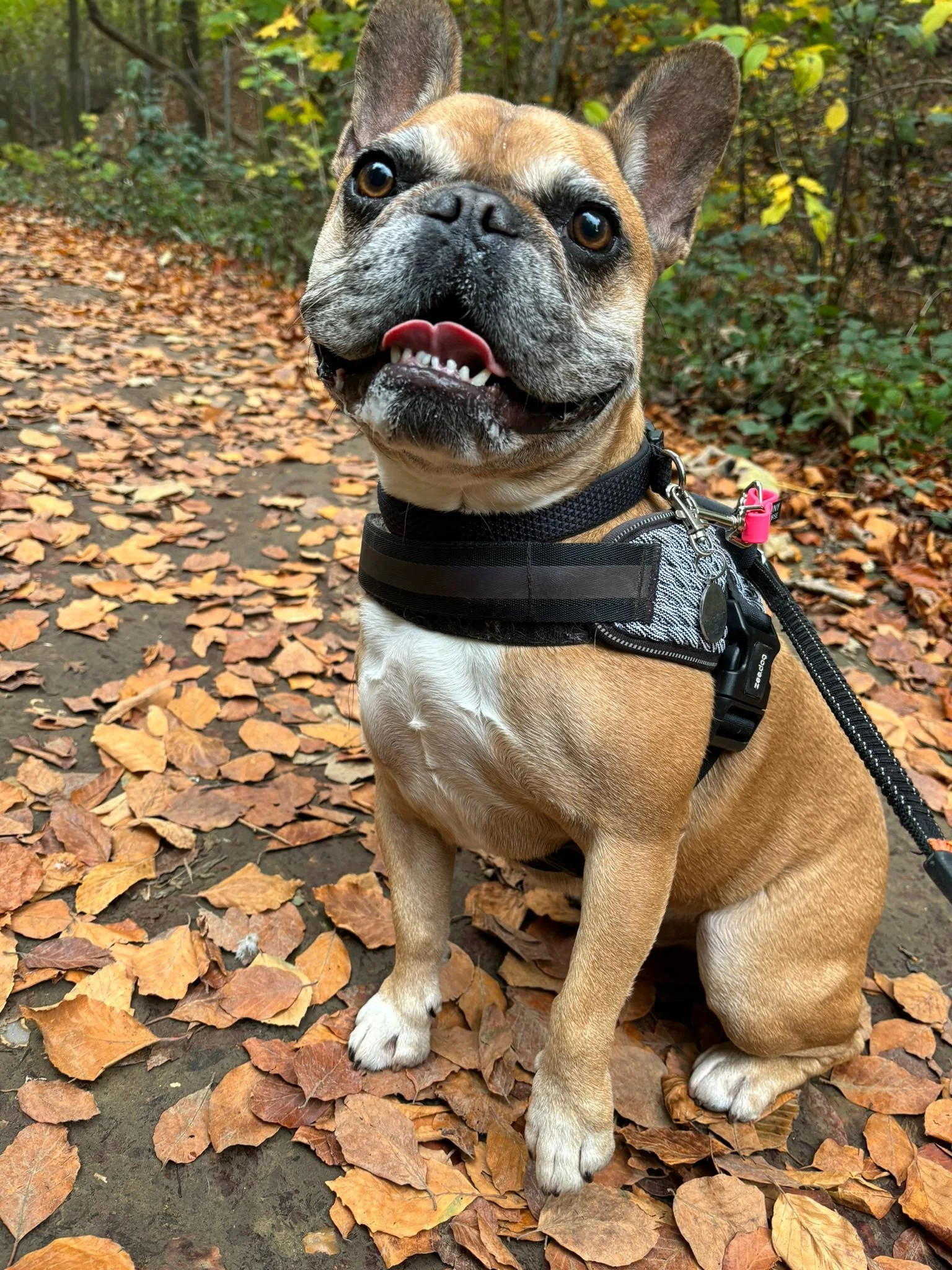 WhatsApp Image 2024-11-15 at 20.28.26_449365bd.jpg