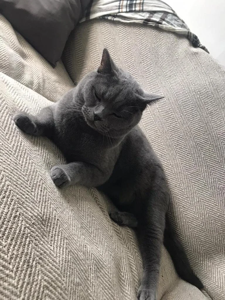 WhatsApp Image 2023-12-31 at 13.09.23_b80f20ea.jpg