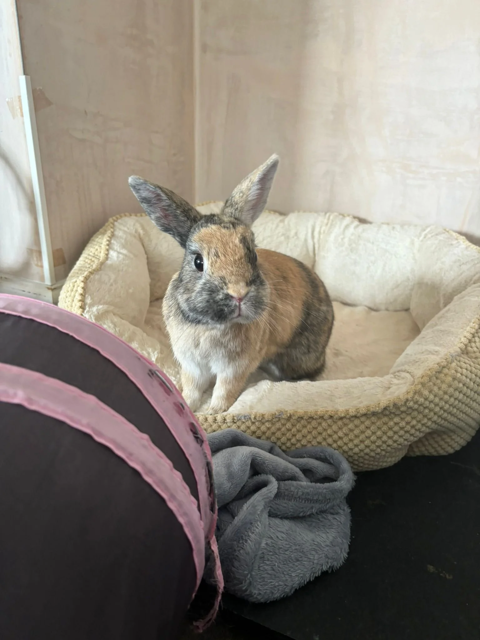 WhatsApp Image 2024-08-08 at 18.50.06_6c2ce255.jpg