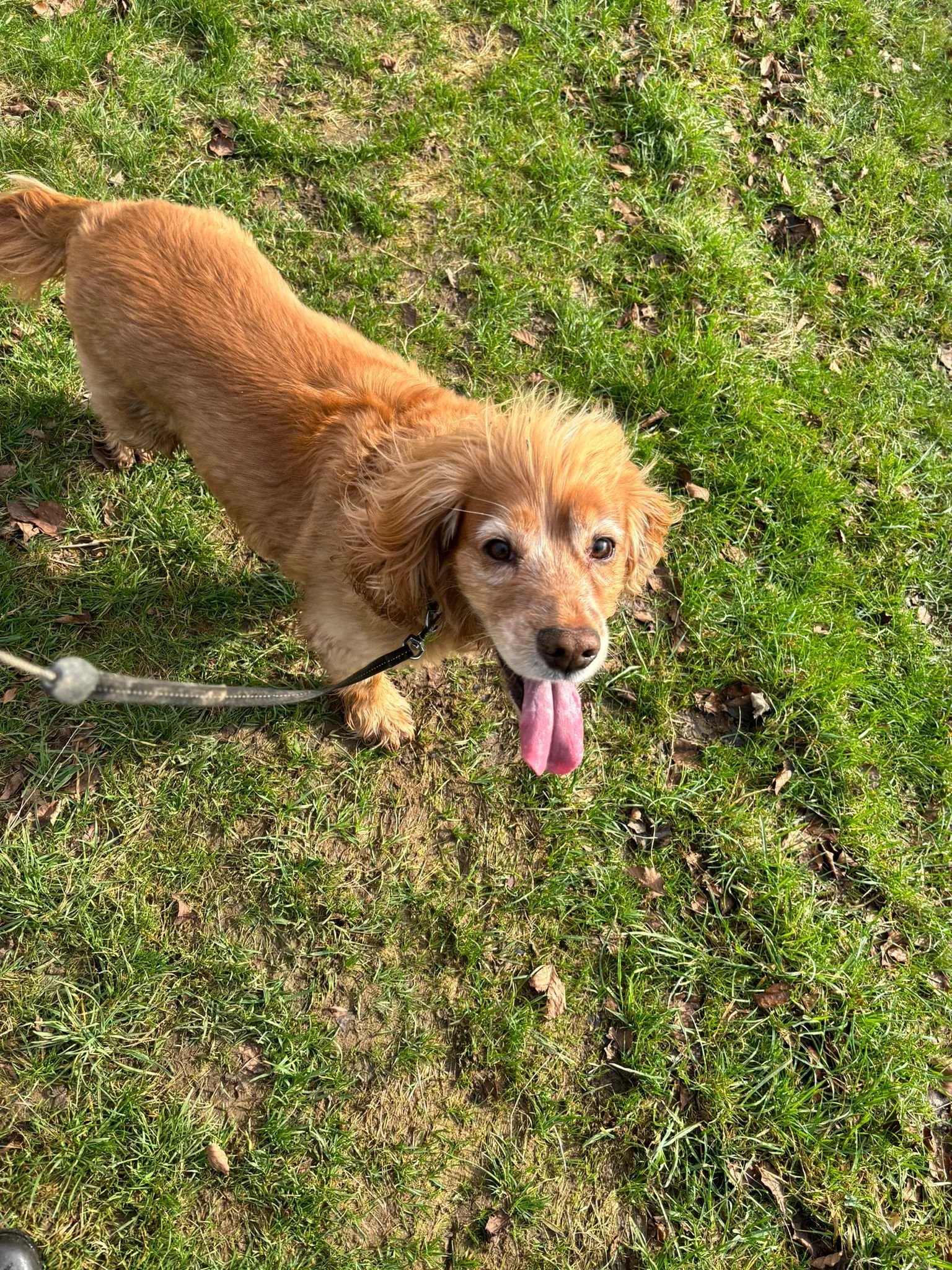 WhatsApp Image 2024-08-08 at 18.47.02_ef5d7098.jpg