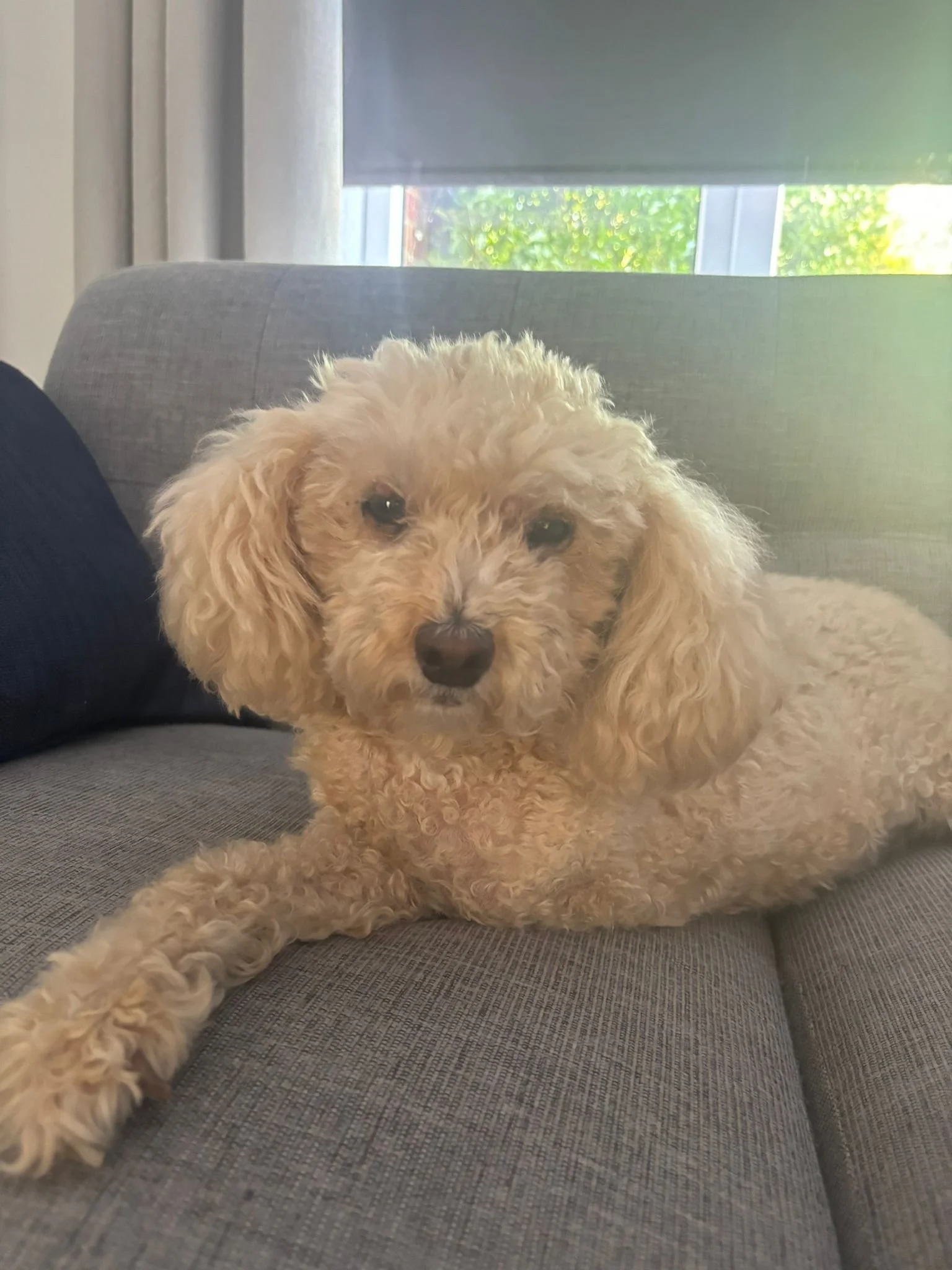 WhatsApp Image 2024-08-08 at 18.46.59_dd103162.jpg