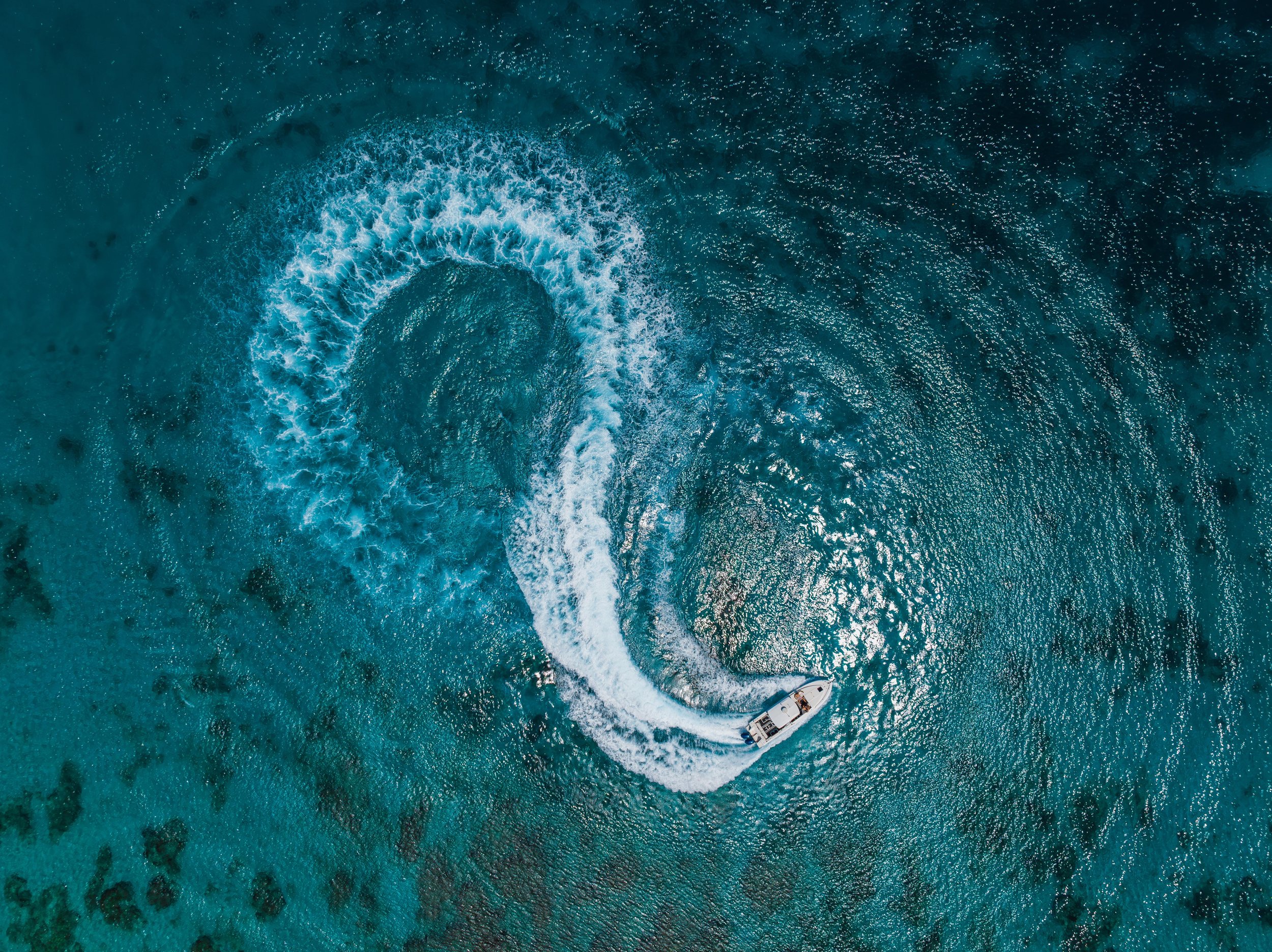Hypnautic-16.jpg