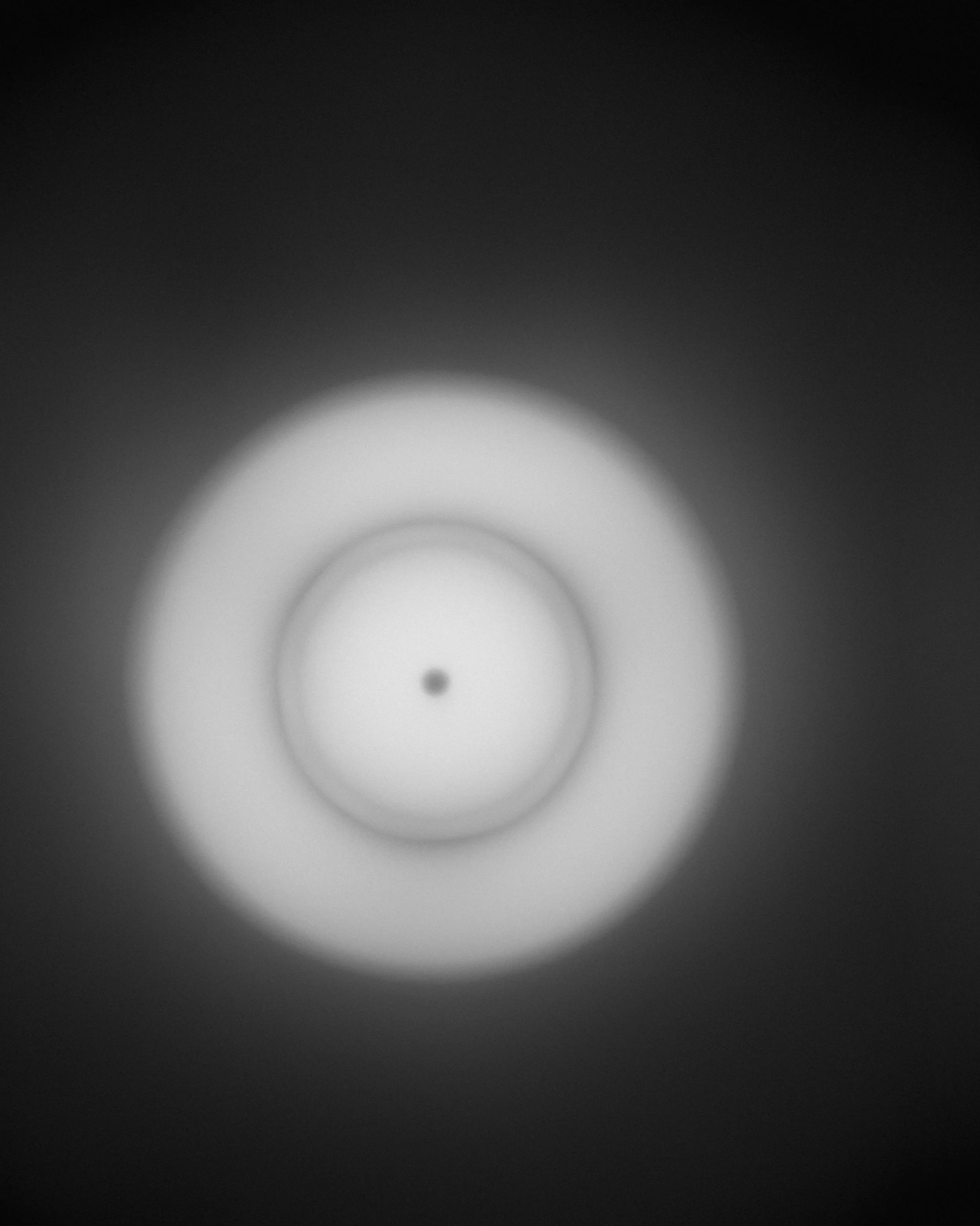 2026_09_03_Pholc_Orsa6878.jpg
