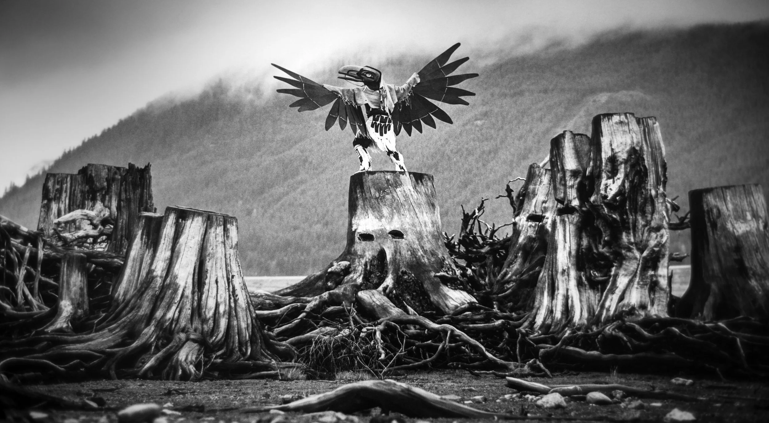 raven fly artwork.JPG