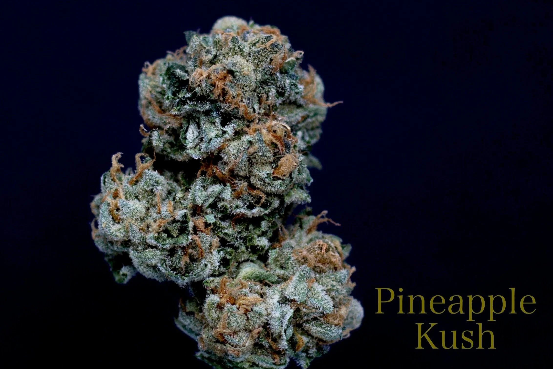 Pineapple Kush.jpg