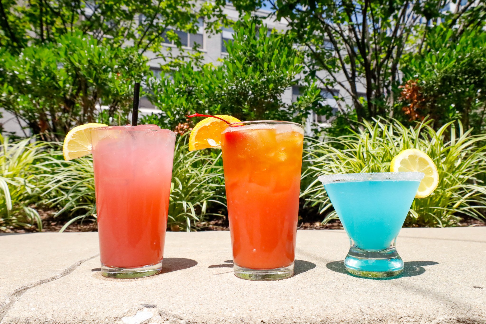Drinks Trees.jpg