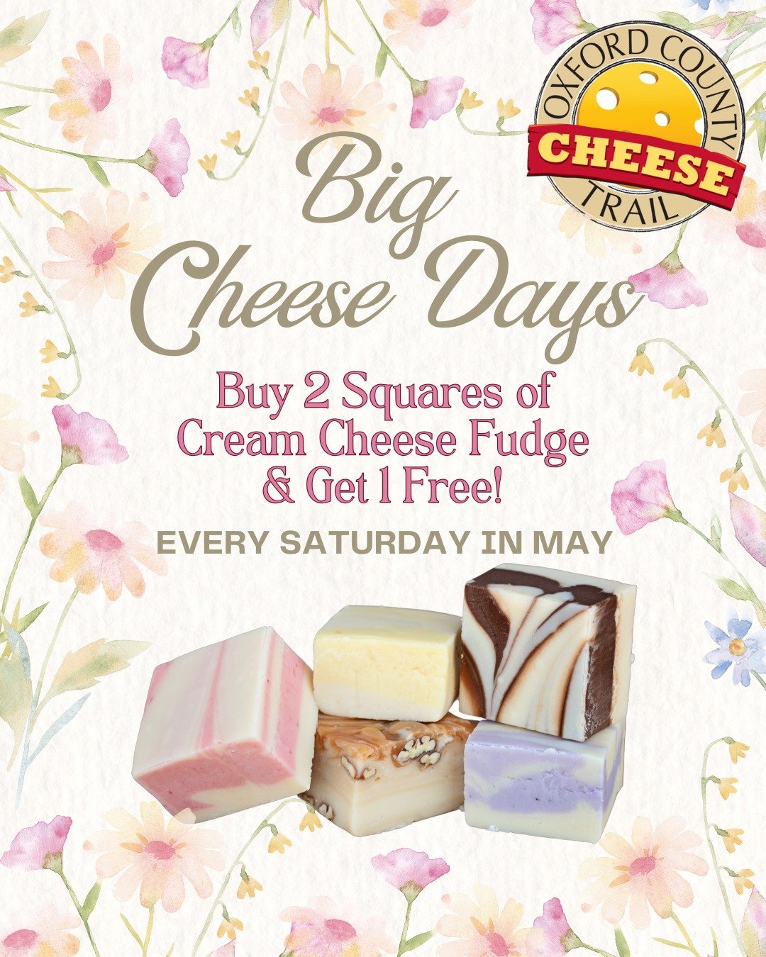 Big Cheese Days continue every Saturday in May! 🧀
Buy 2 Squares of Cream Cheese Fudge and get 1 free!
#BigCheeseDays #trythetrail @tourismoxford