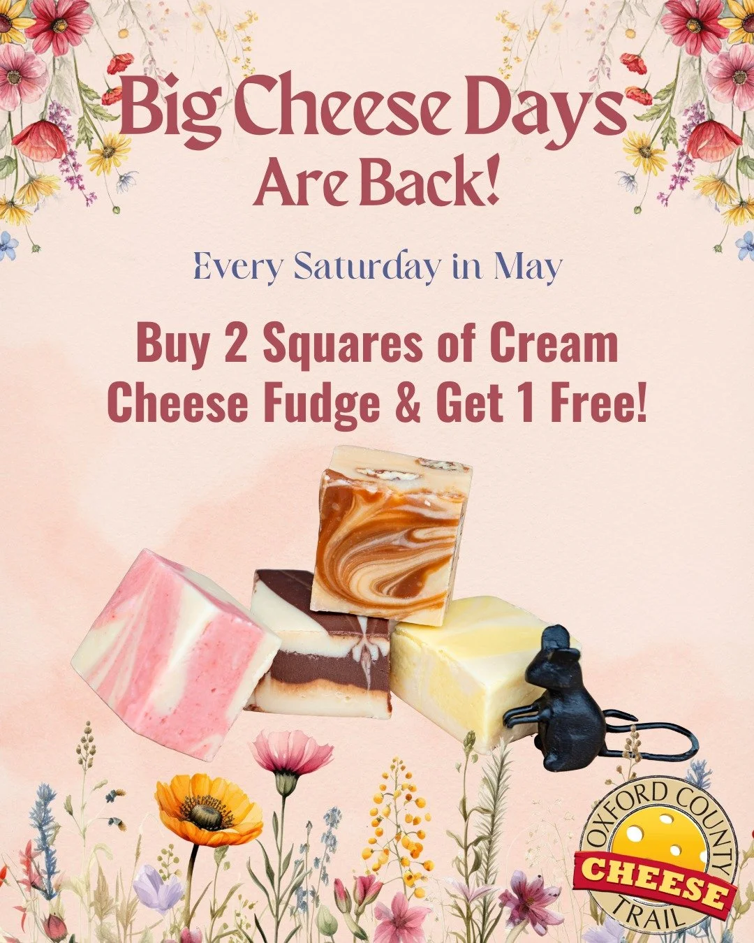 Big Cheese Days are back every Saturday in May! Check out the stops on the Oxford County Cheese trail for deliciously cheesy finds! 

Our cream cheese fudge is back this month and you can buy 2 squares and get 1 free every Saturday in May! Choose bet