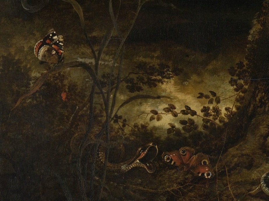 Forest+Floor+with+a+Snake%2C+Lizards%2C+Butterflies+and+other+Insects+%281650+-+1678%29+Otto+Marseus+van+Schrieck+%28Dutch%2C+1619-1678%29.jpg