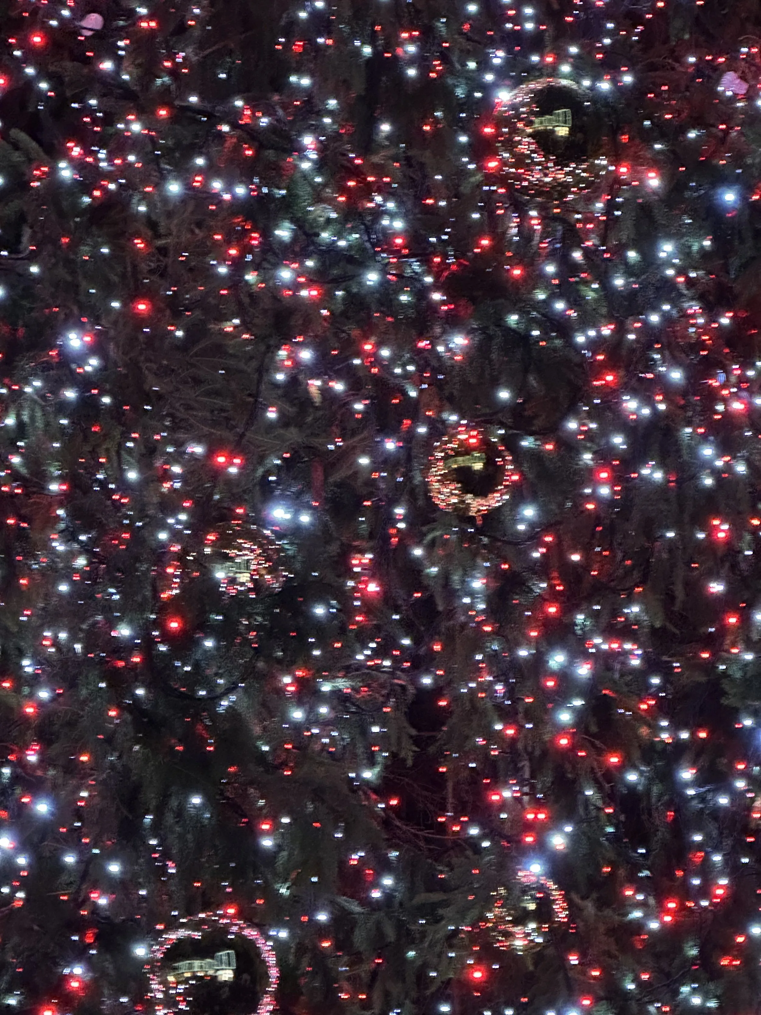 Holiday Covent Garden Photo by Anne