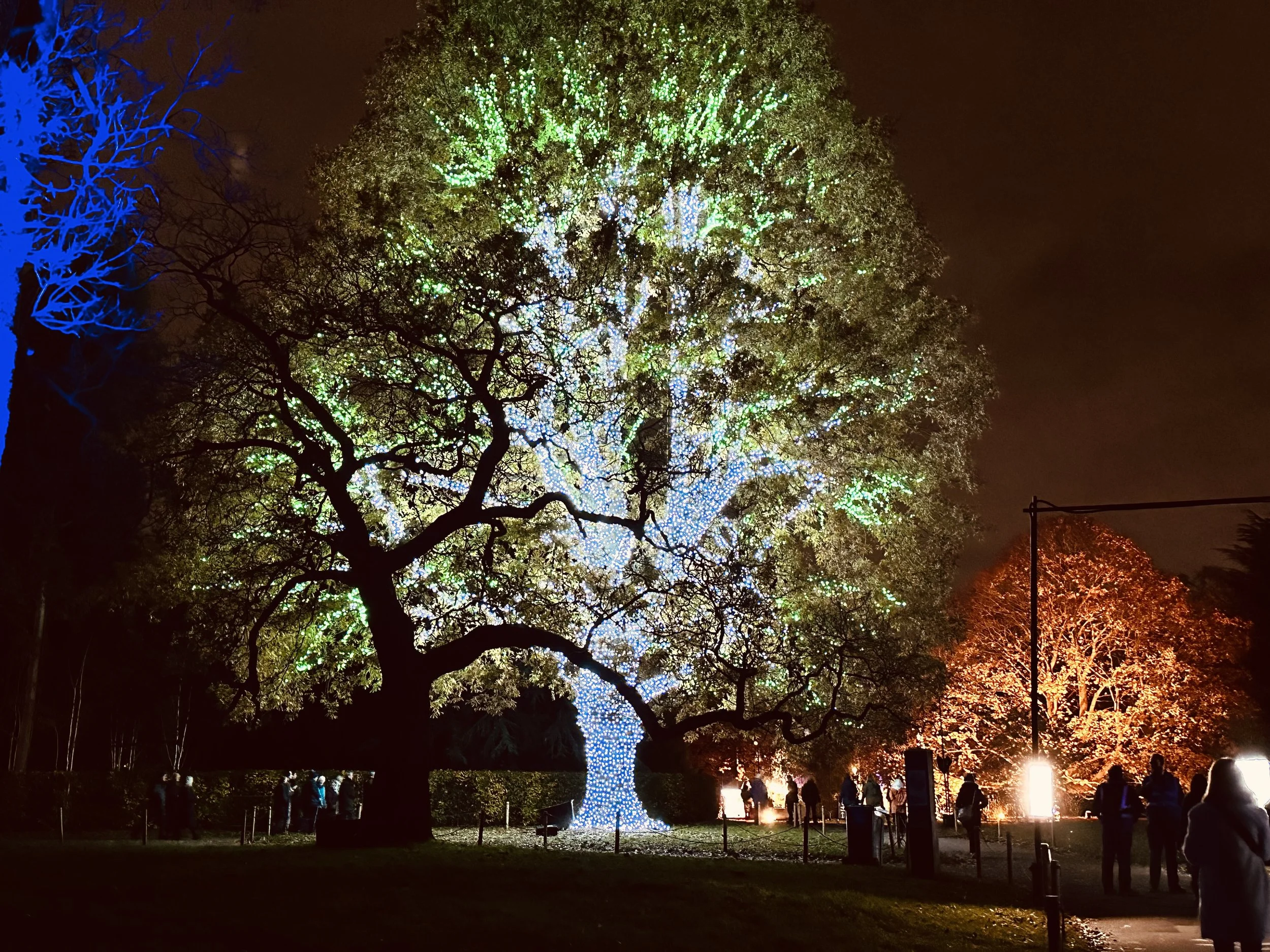 Kew Afire Photo by Anne