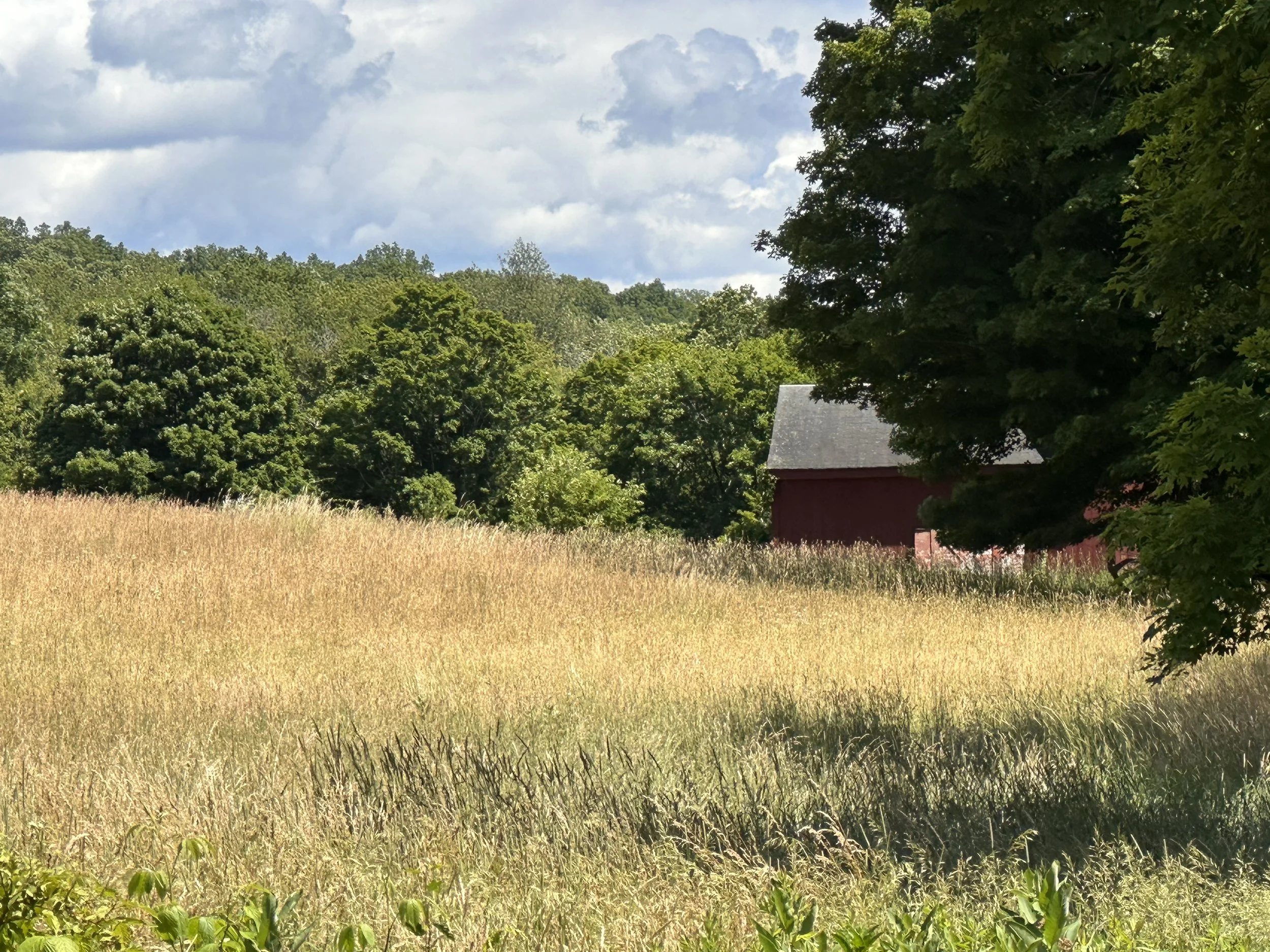 Miller's Hay Photo by Anne
