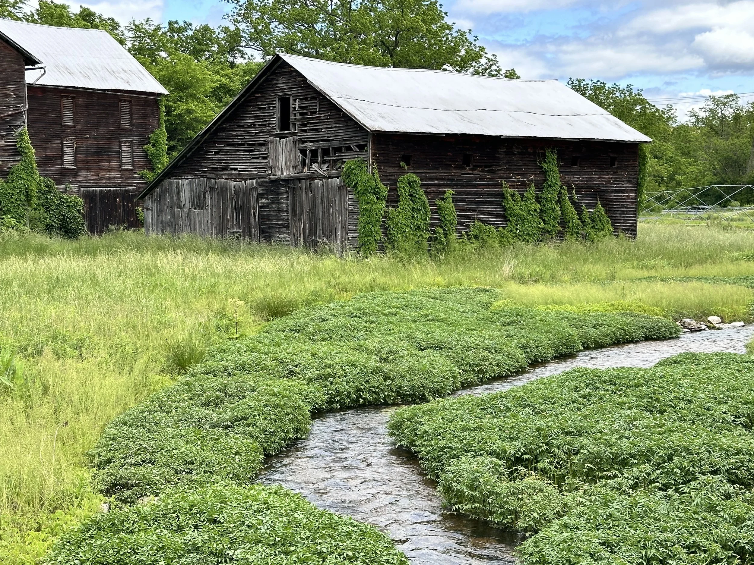 Barns -- Lamar, PA Photo by Anne