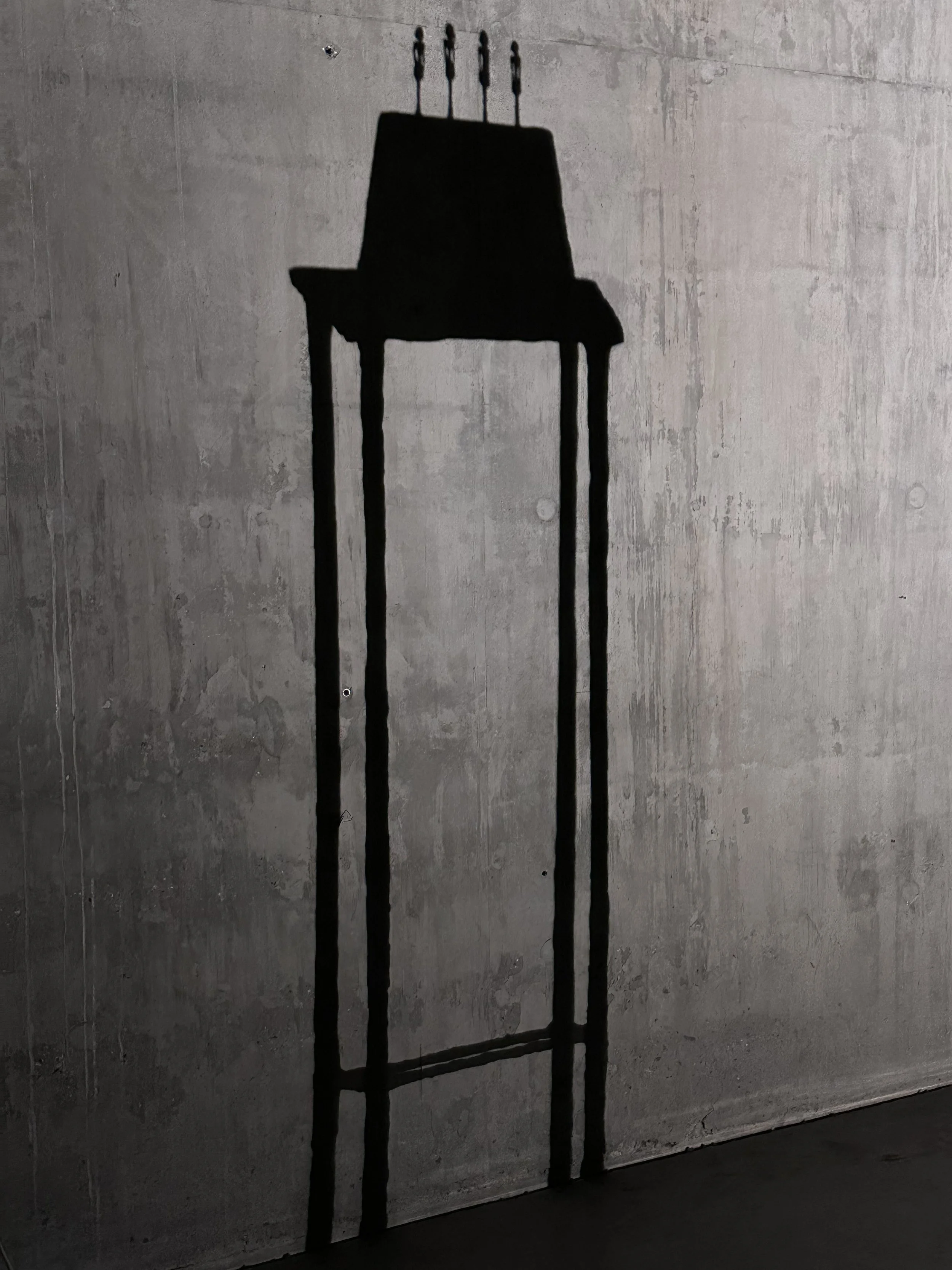 Giacometti's Shadow, the Tate Photo by Anne