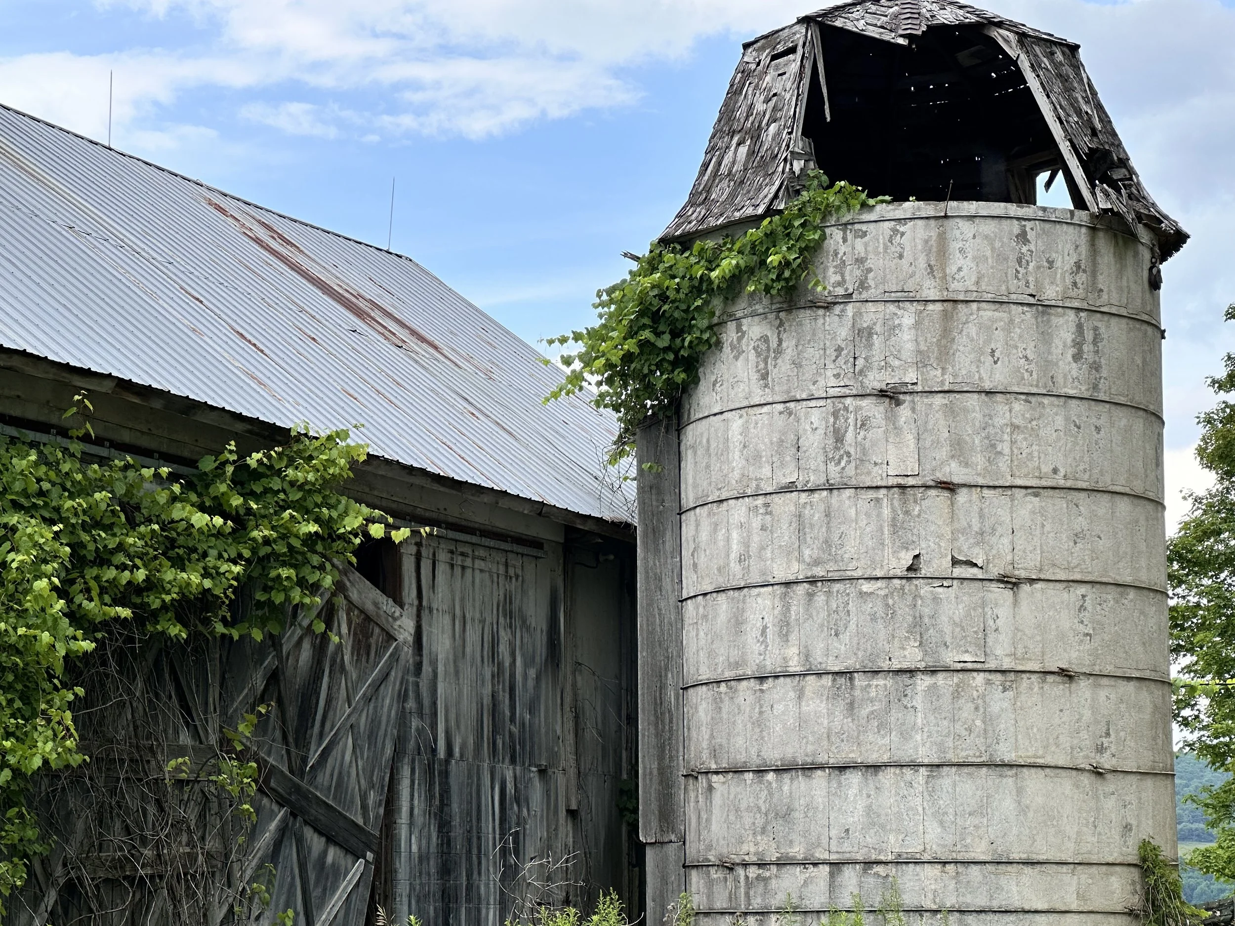 Old Barn Cooperstown, NY Photo by Anne