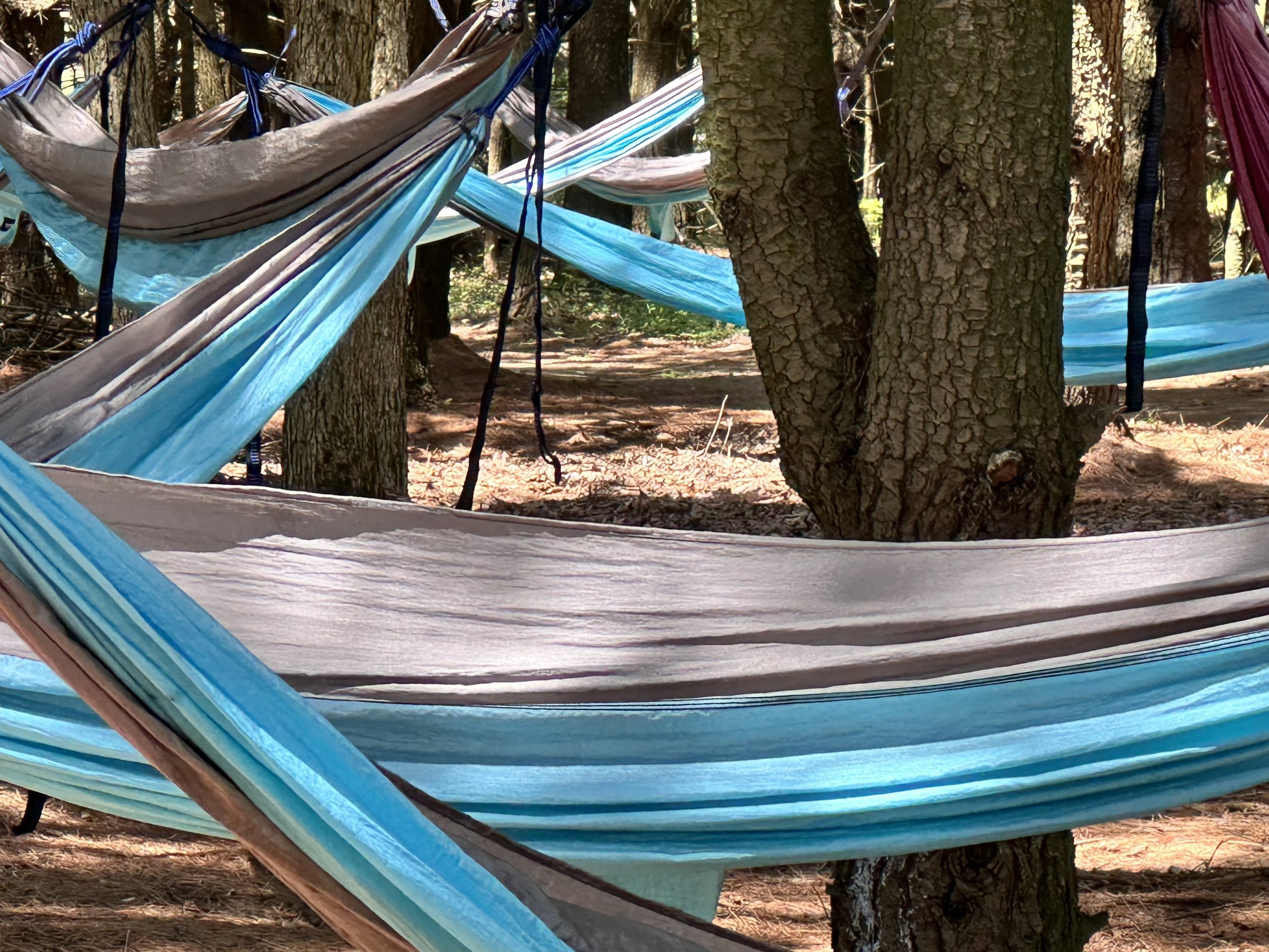 Hammocks Photo by Anne