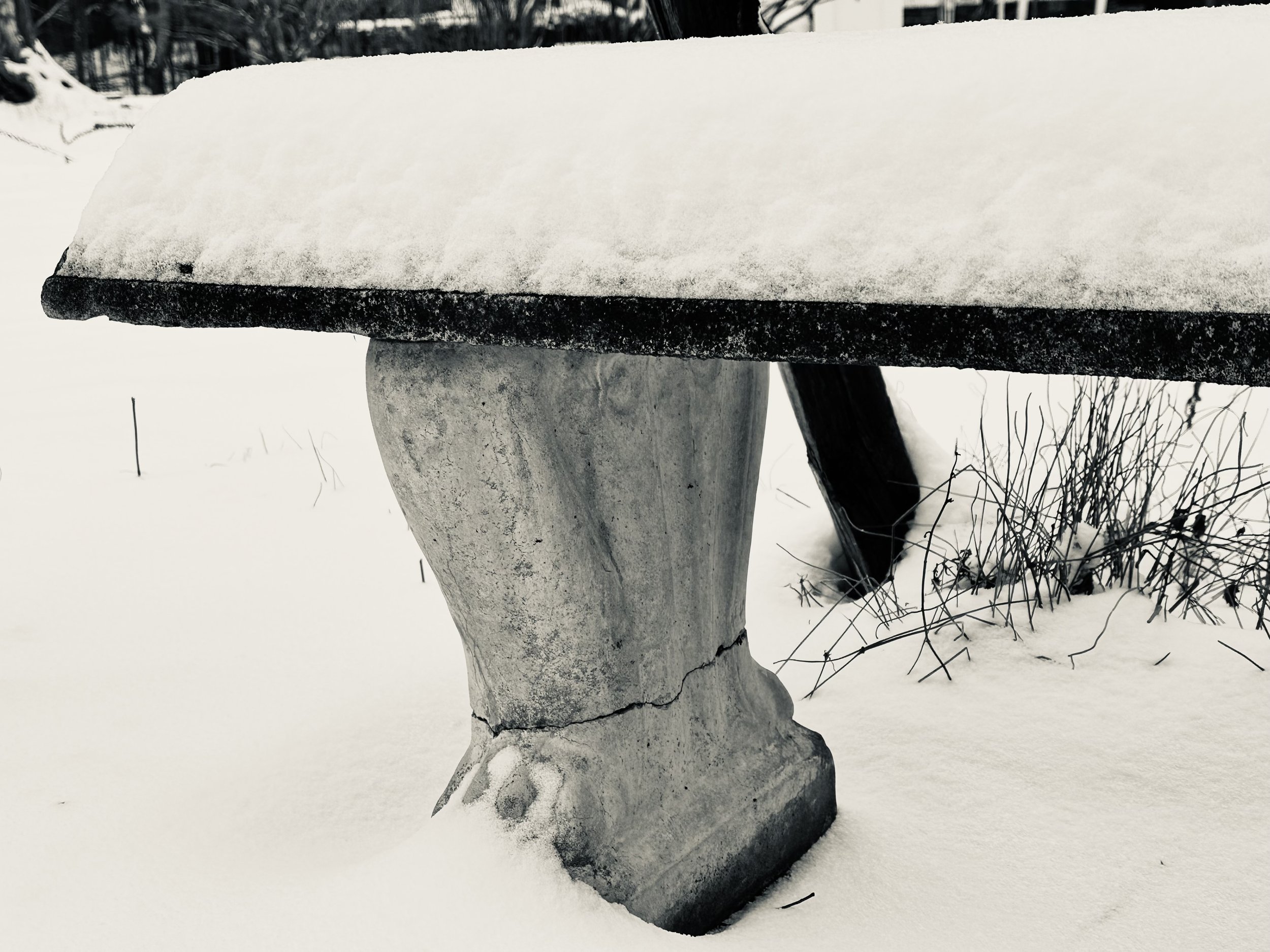 Garden Bench photo by Anne
