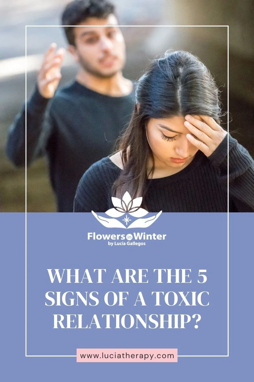 What Are 5 Signs of a Toxic Relationship? | Lucia Gallegos