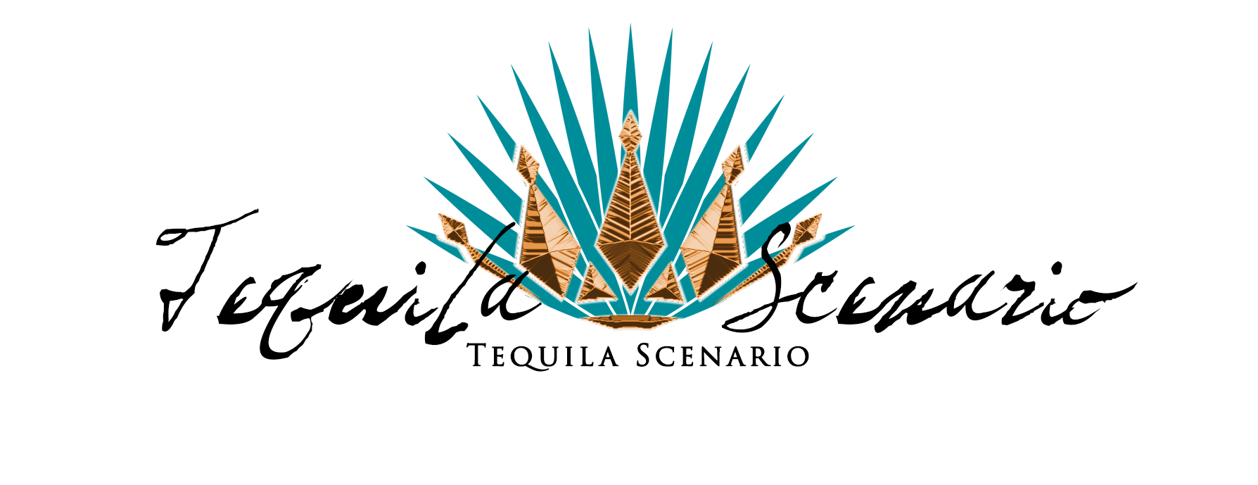 TequilaScenario_2024black copy.png