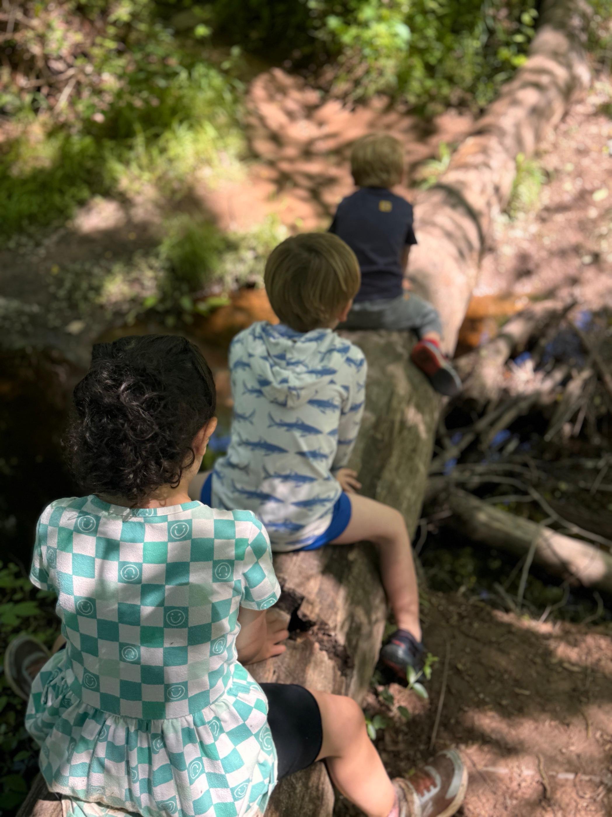 HIke.jpg