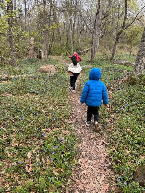 Hiking Trail.jpg